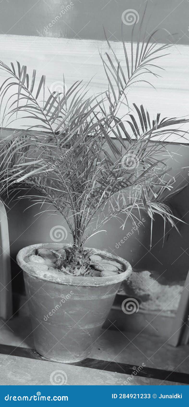 Pot plants wall stone mud stock image. Image of wall 284921233