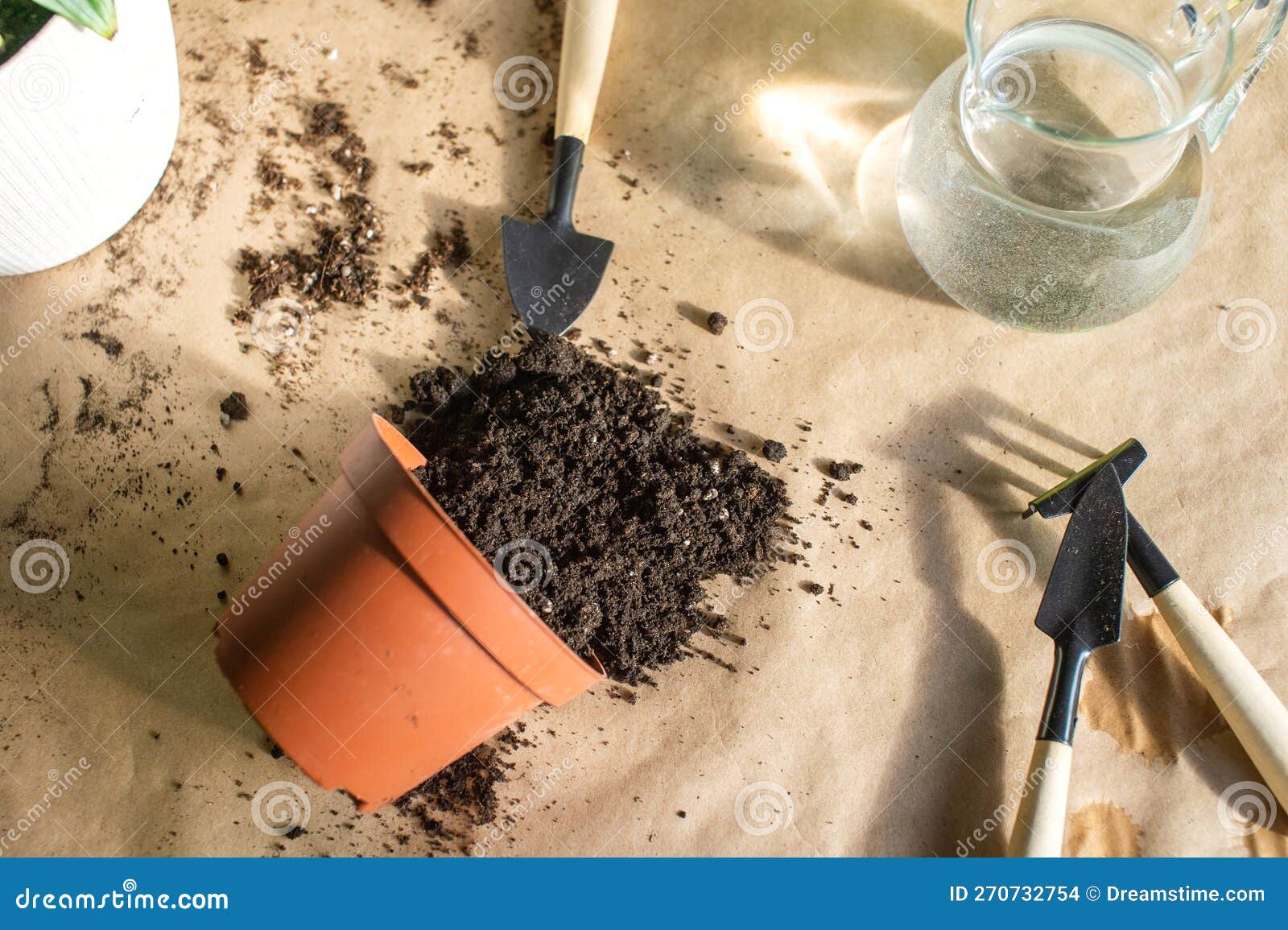 A Pot of Soil Lies on a Table with a Tool for Home Plants. Scatter the
