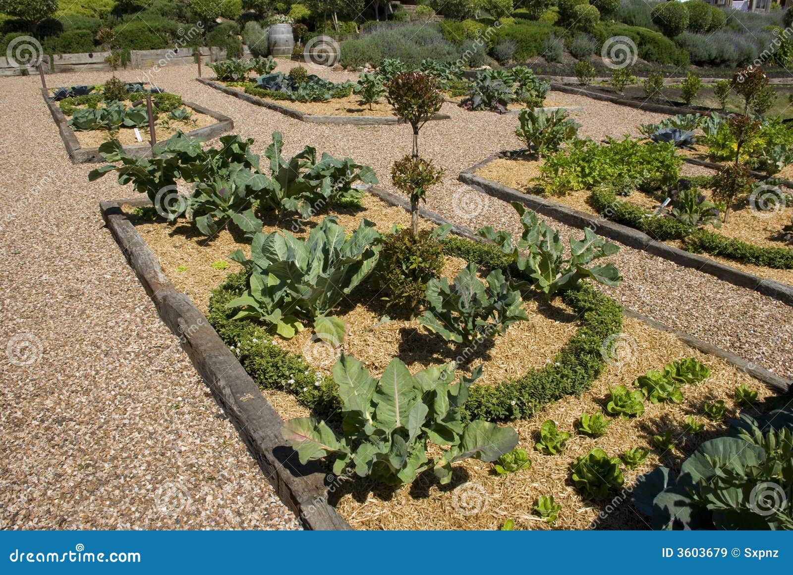 potager garden design potager garden design