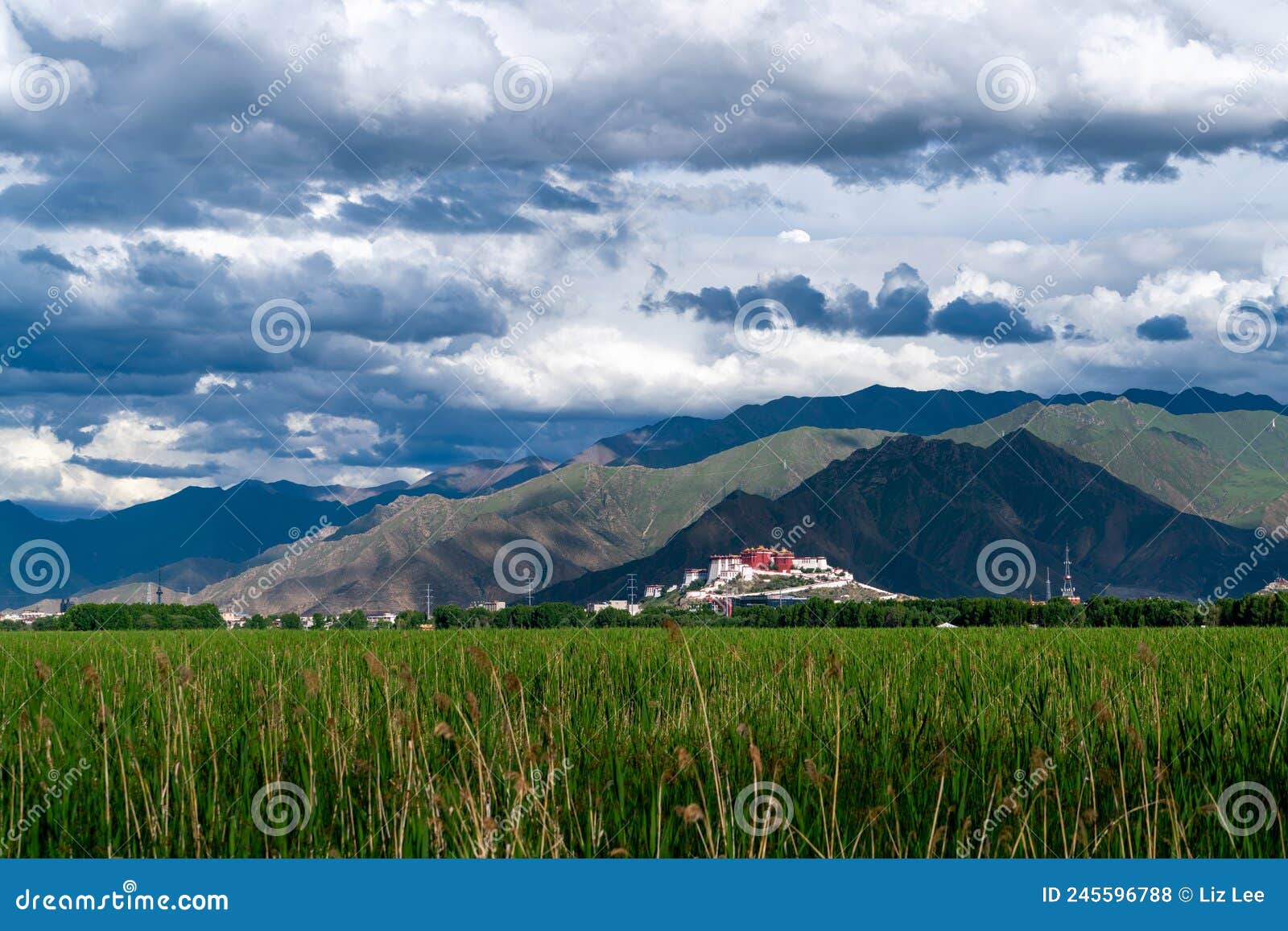 the potala palace, the holy place of tibetan buddhism under the mountains