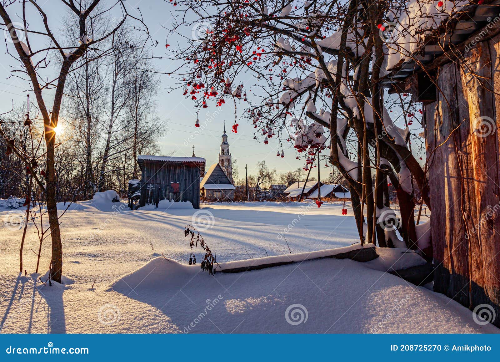 Potassium Berries in the Snow Stock Photo Image of daylight