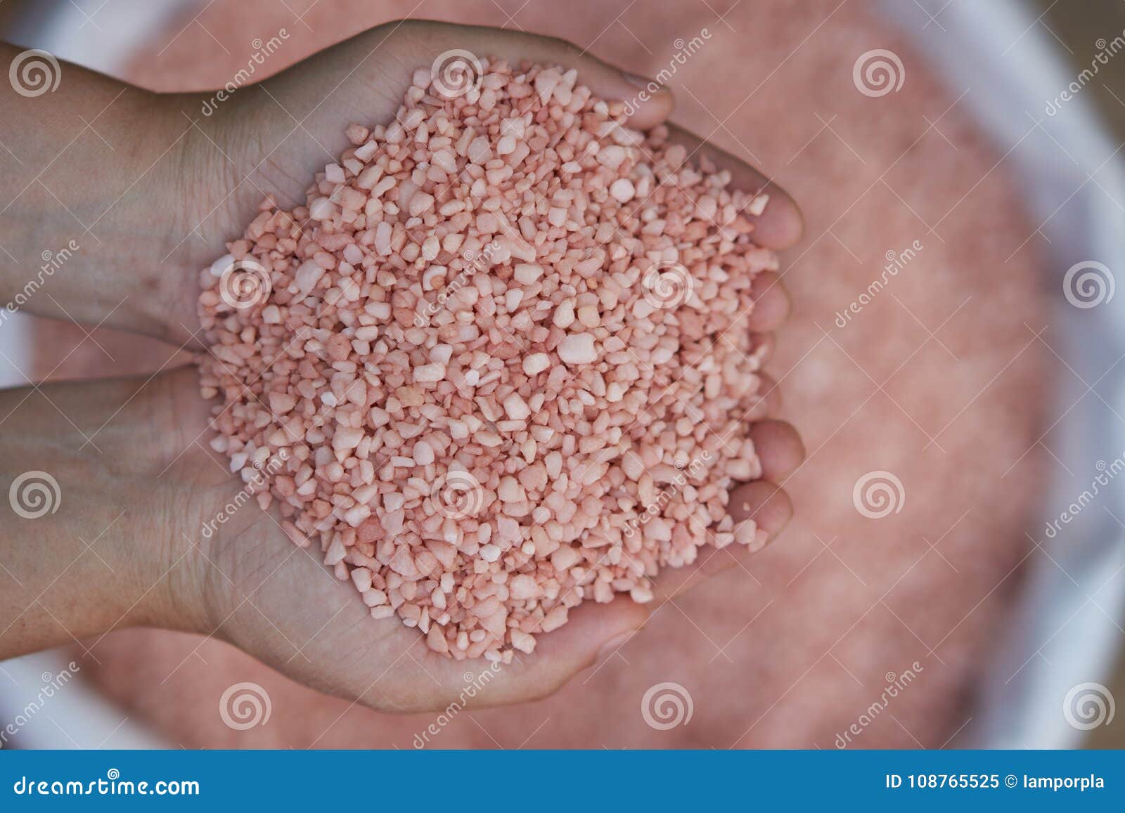 potassium chloride, 0-0-60 , fertilizer in farmer hand.