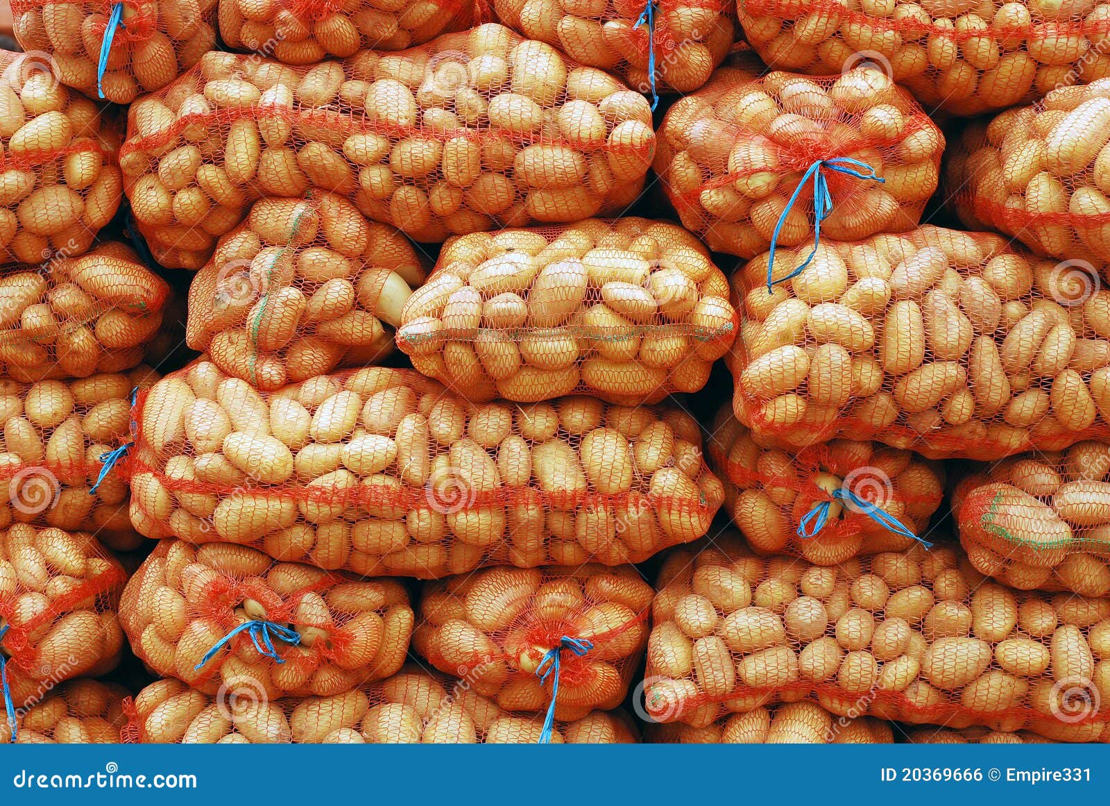 Potato bags stock photo. Image of potatoes, vegetable - 20369666