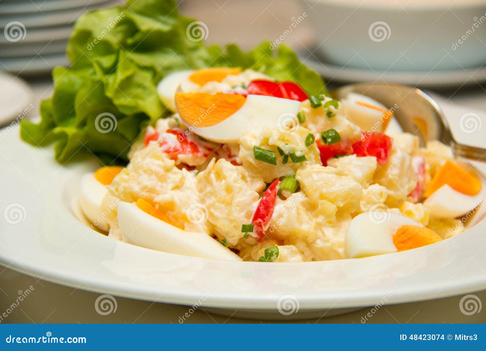Potato and Eggs Salad Vegetarian Salad Stock Photo Image of tomato
