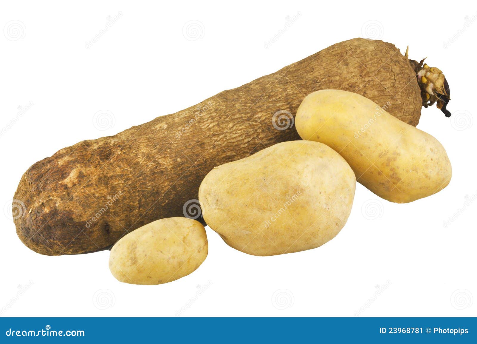 Potato of ghana stock image. Image of potato, carbohydrate 23968781