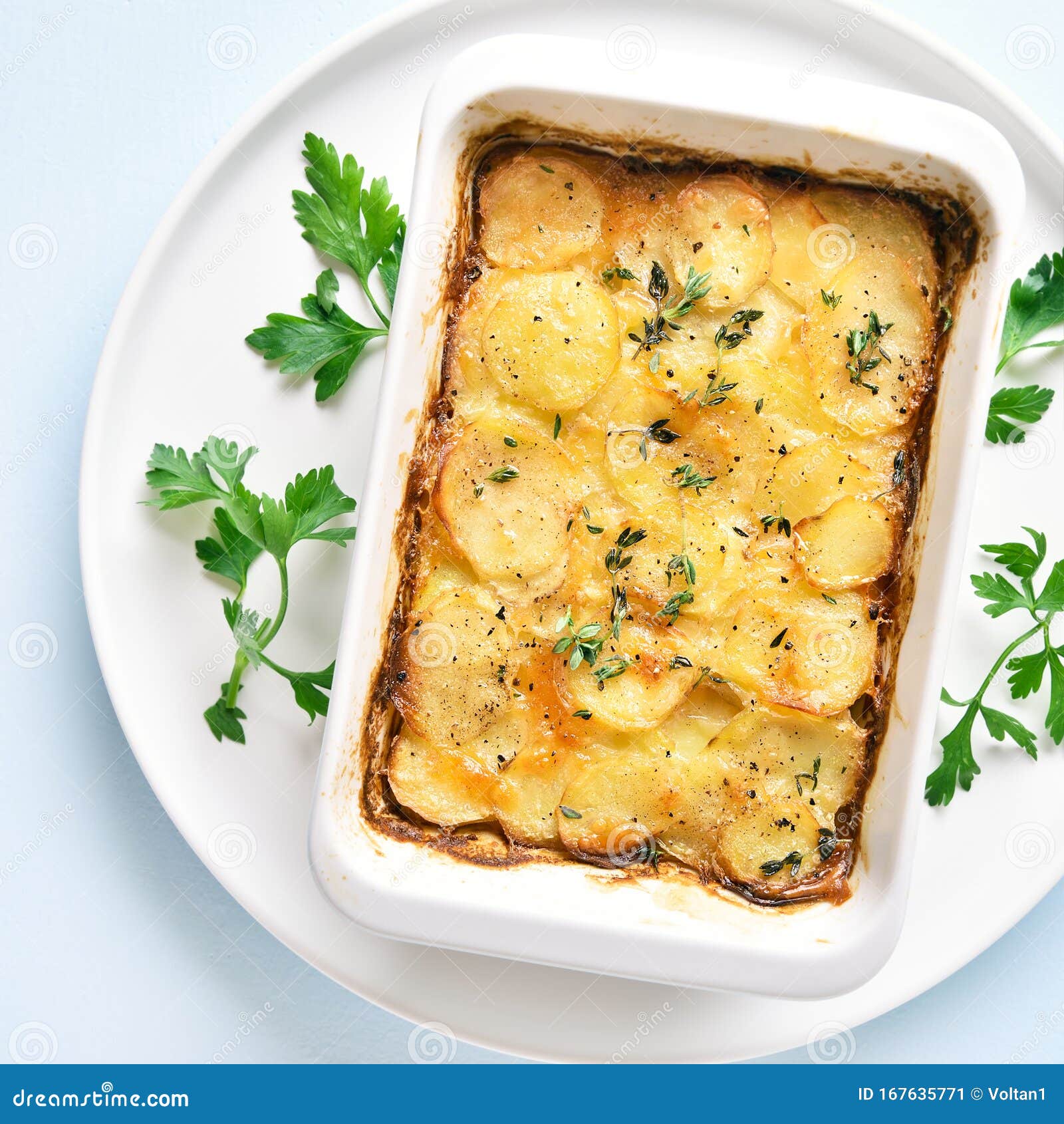 Potato Gratin in Baking Dish Stock Image Image of dinner, golden 167635771