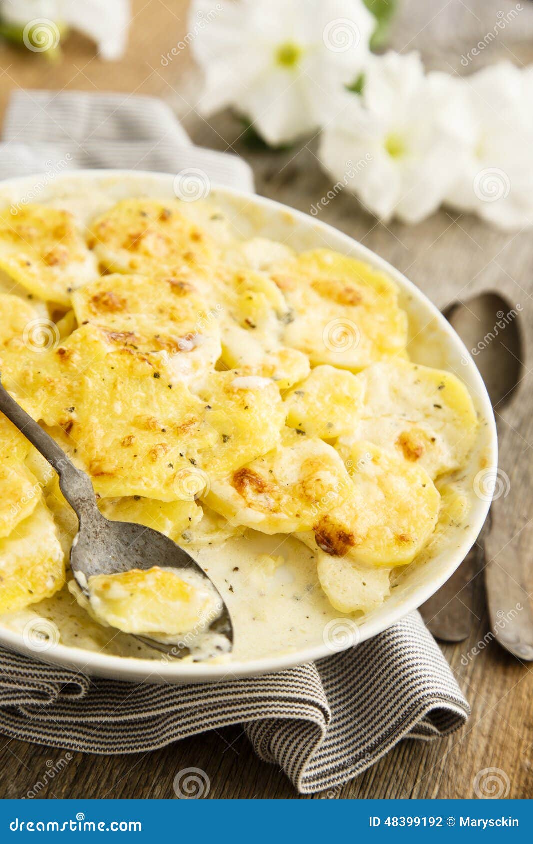 Potato gratin stock photo. Image of cream, cheese, plate 48399192
