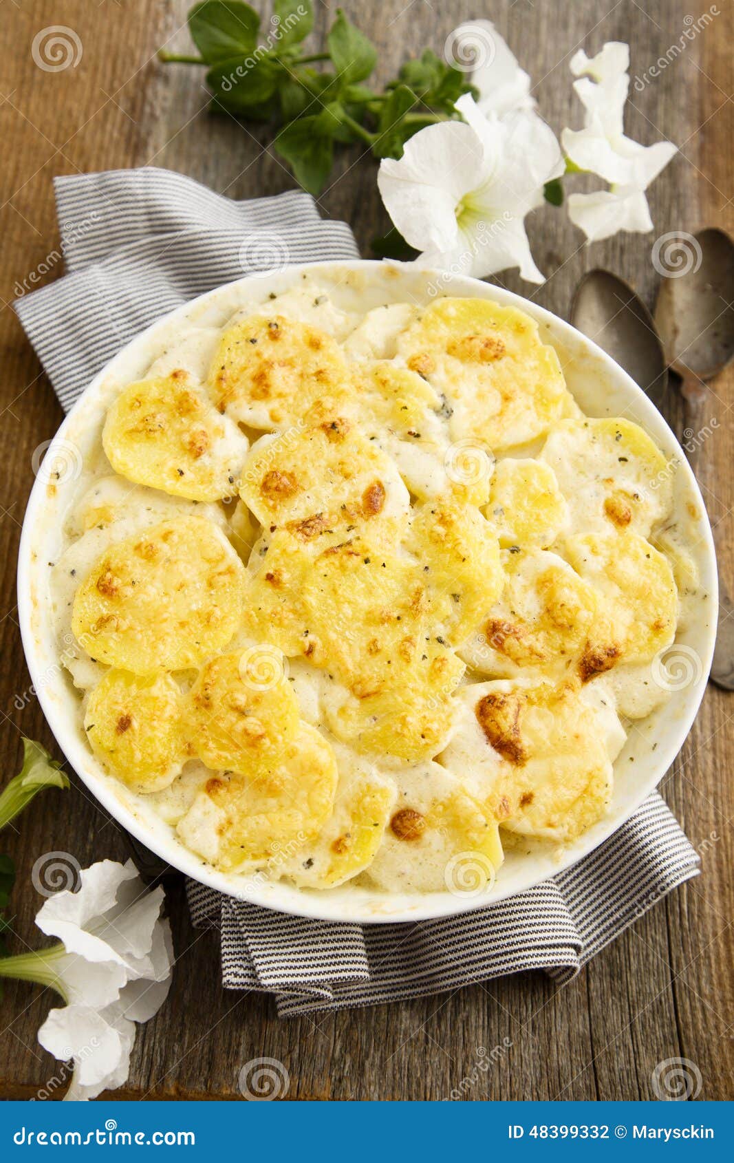 Potato gratin stock photo. Image of cream, spicy, root 48399332