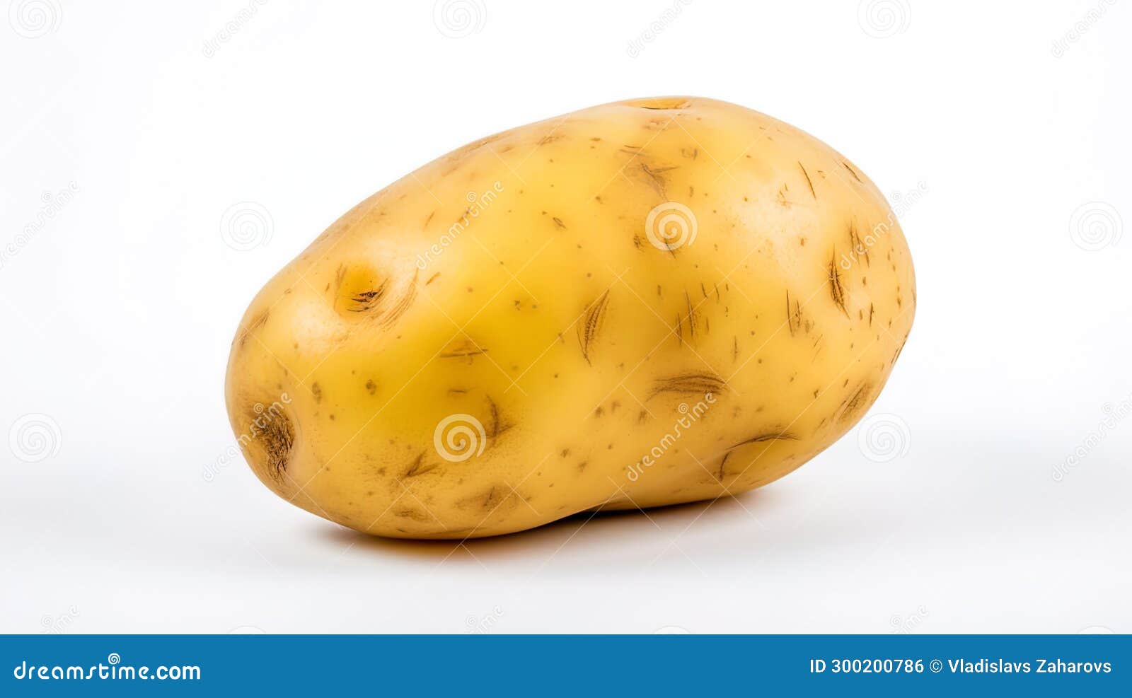 Potato in Isolation on a White Background Stock Illustration Illustration of brown, background