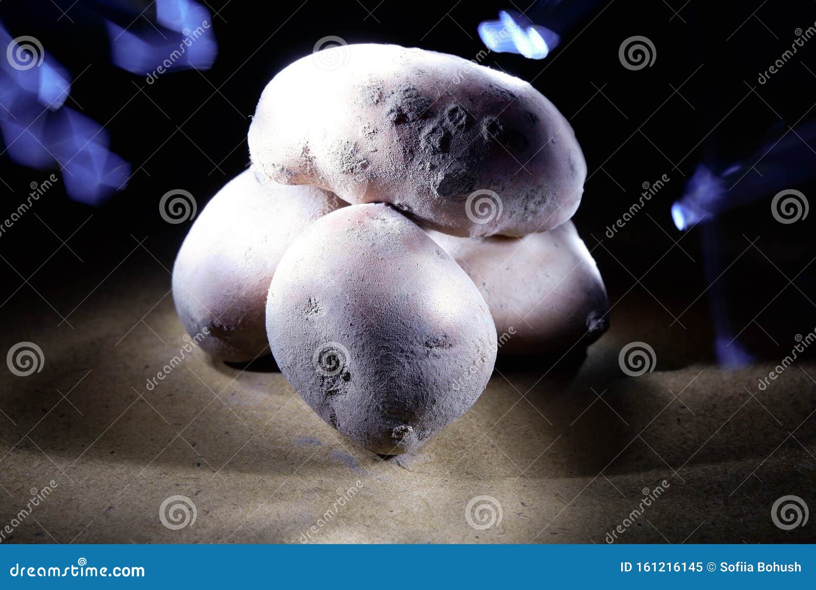 Potato in the Light of Flashlights from Different Sides Stock Image