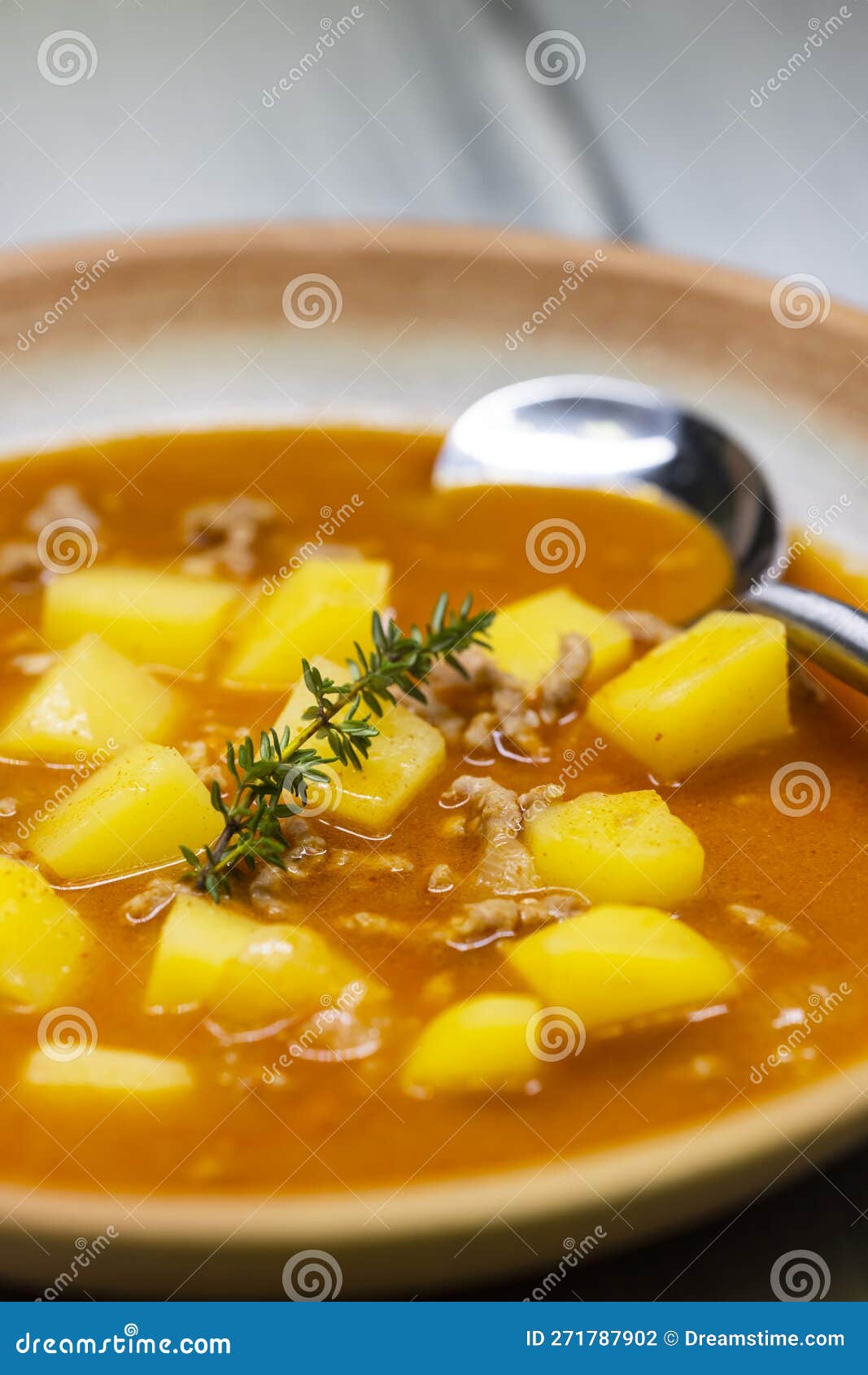 Potato Soup with Ground Beef Meat Stock Photo Image of cuisine, meal