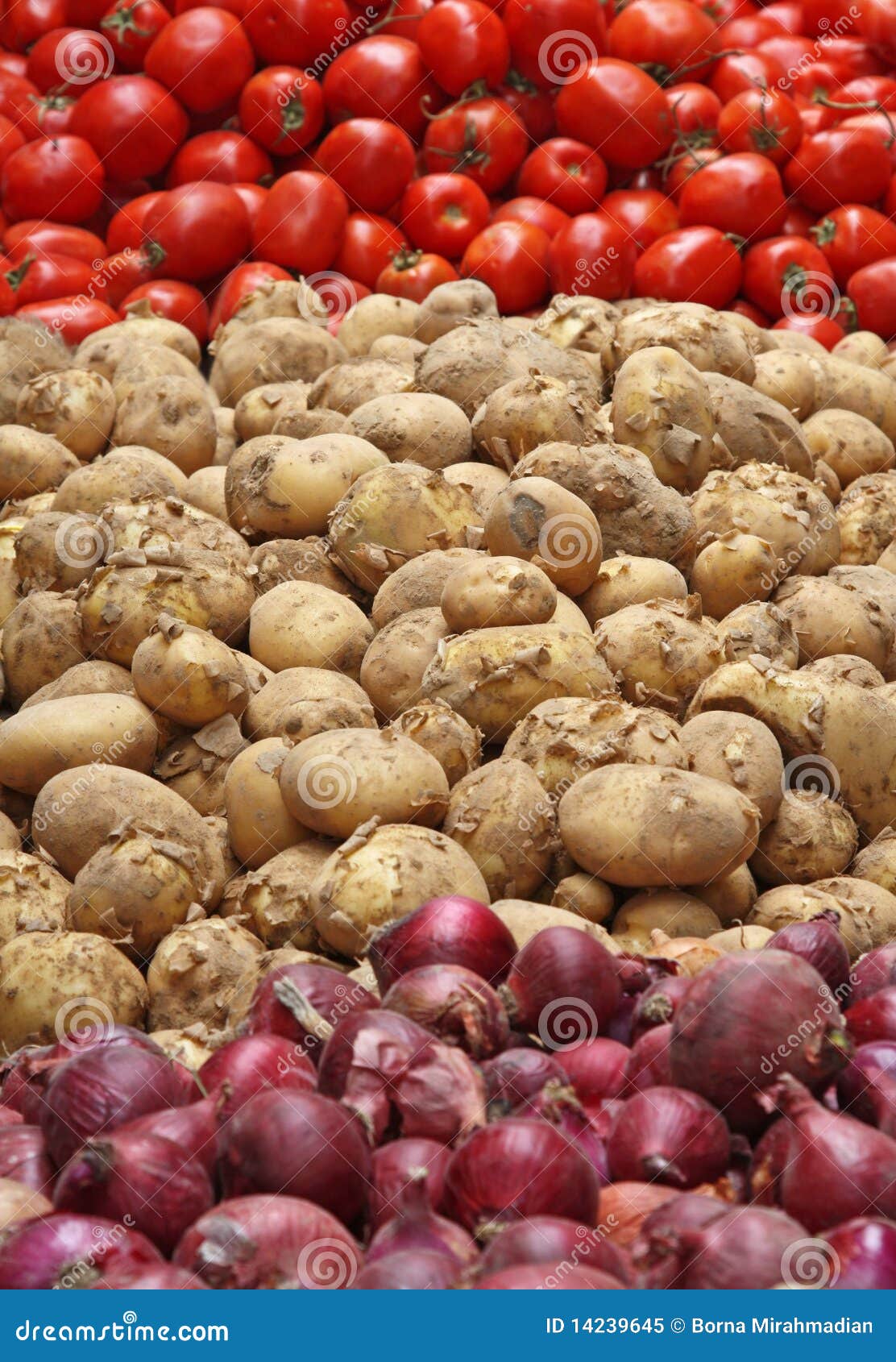 Potato, Tomato & Onion stock image. Image of wholesale 14239645