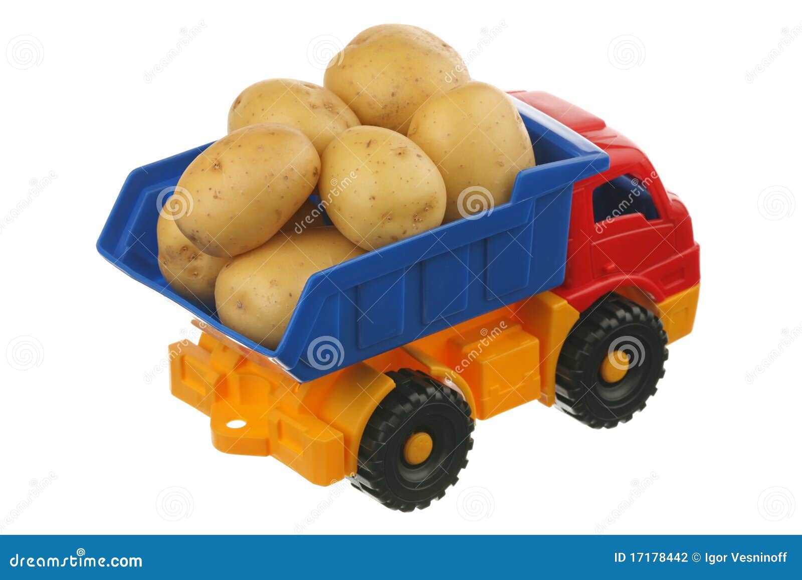 Potato in the truck stock photo. Image of starch, healthy 17178442
