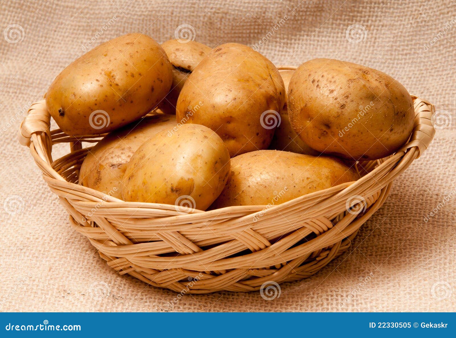 Potato Tubers Stock Image Image Of Plant Cooking Nutrition 22330505 how-to-plant-sweet-potatoes-using-tubers-slips-or-vines-learn