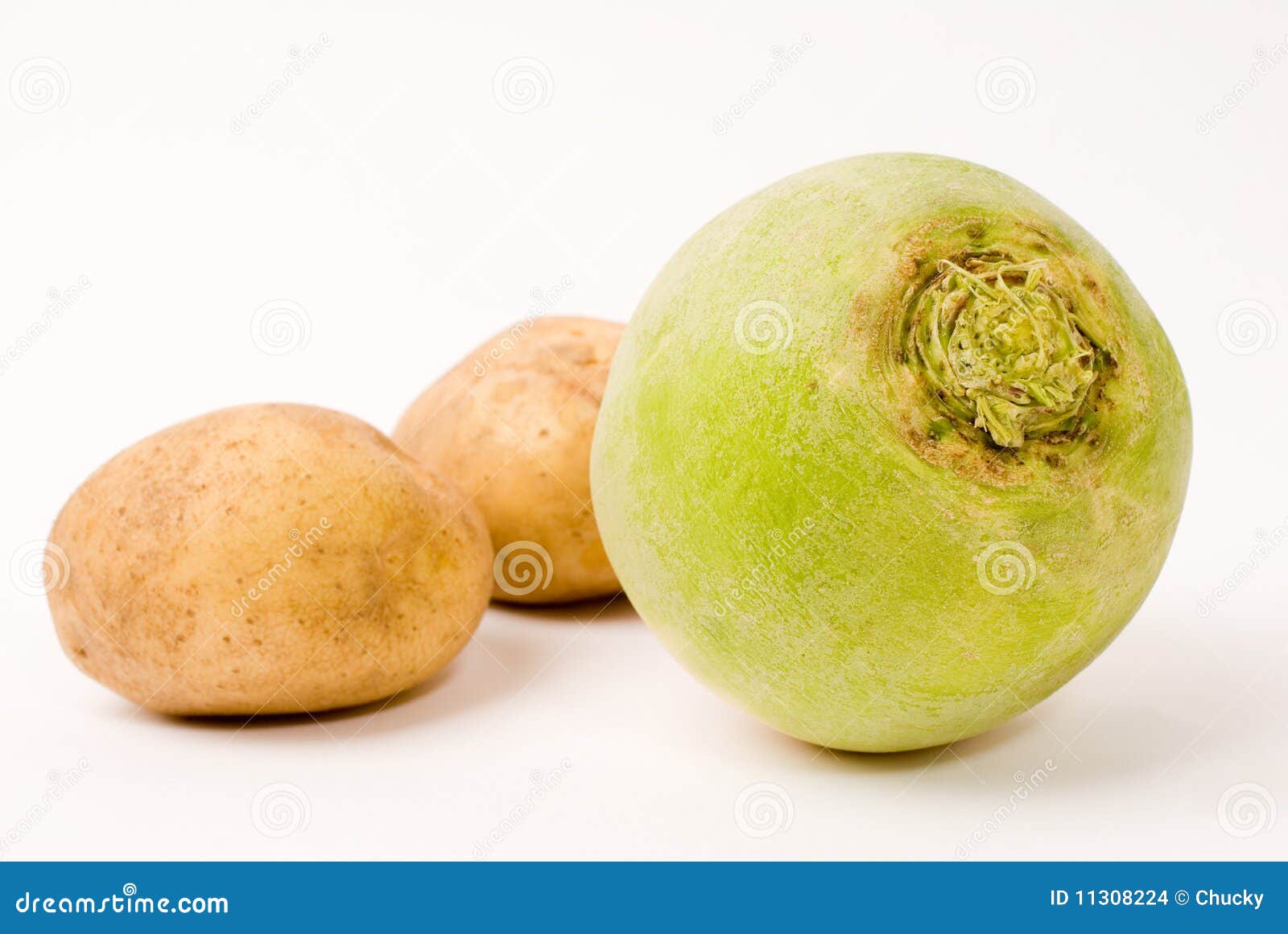 Potato and turnip stock photo. Image of white, salad 11308224