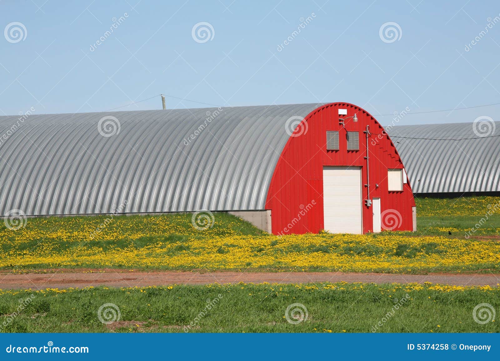 Potato Warehouses stock photo. Image of canada, dandelions 5374258
