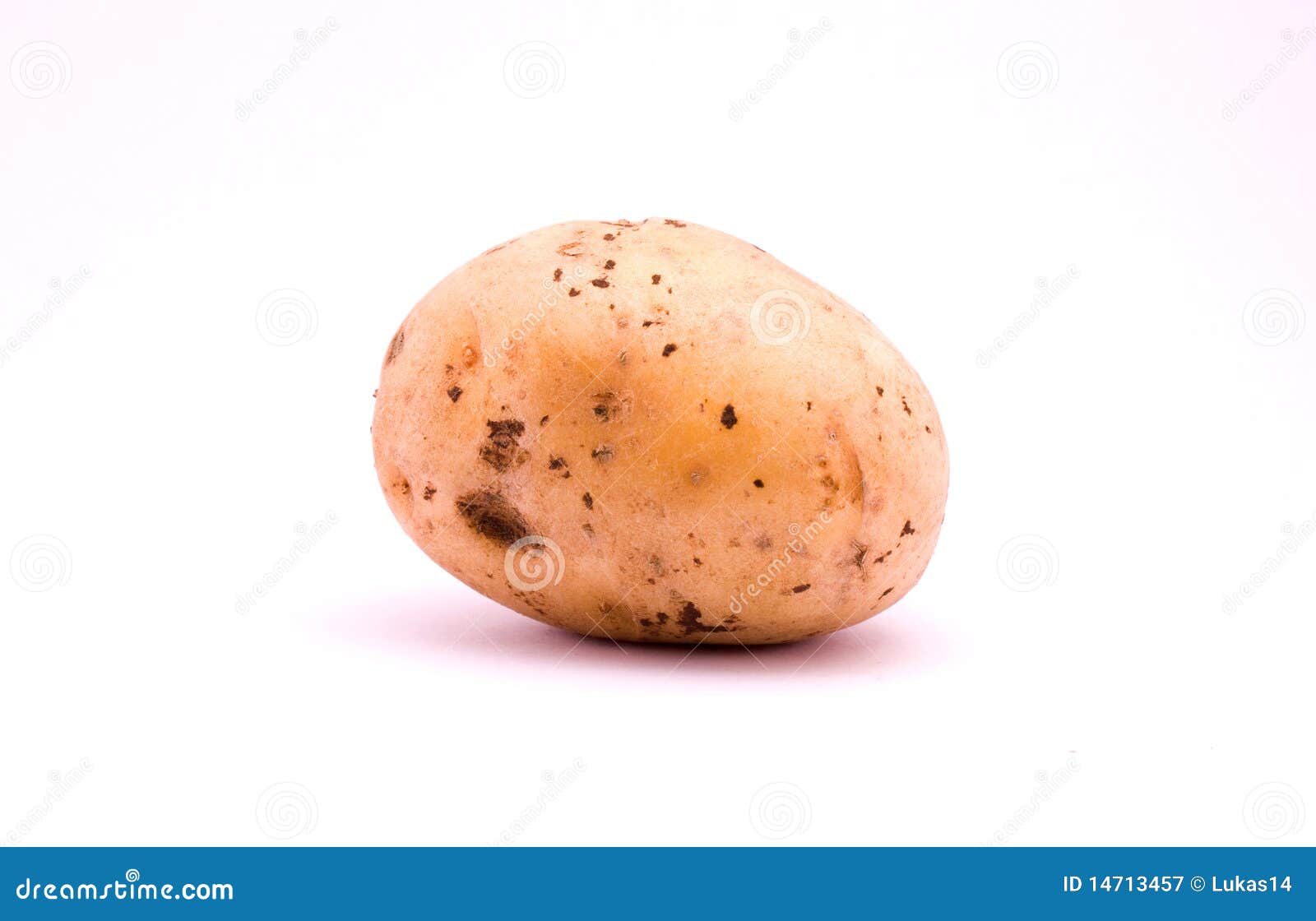 Potatoe stock image. Image of potatoe, vegetable, ecologic 14713457