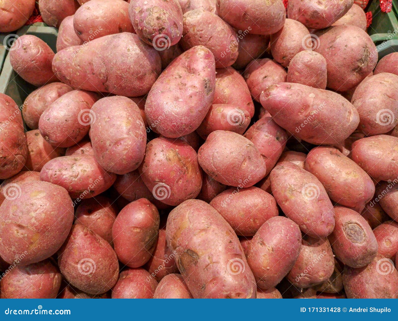Potatoes on the Counter in the Store Stock Photo Image of nature