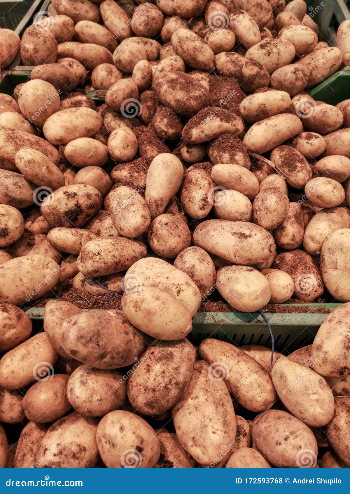 Potatoes on the Counter in the Store Stock Photo Image of agriculture