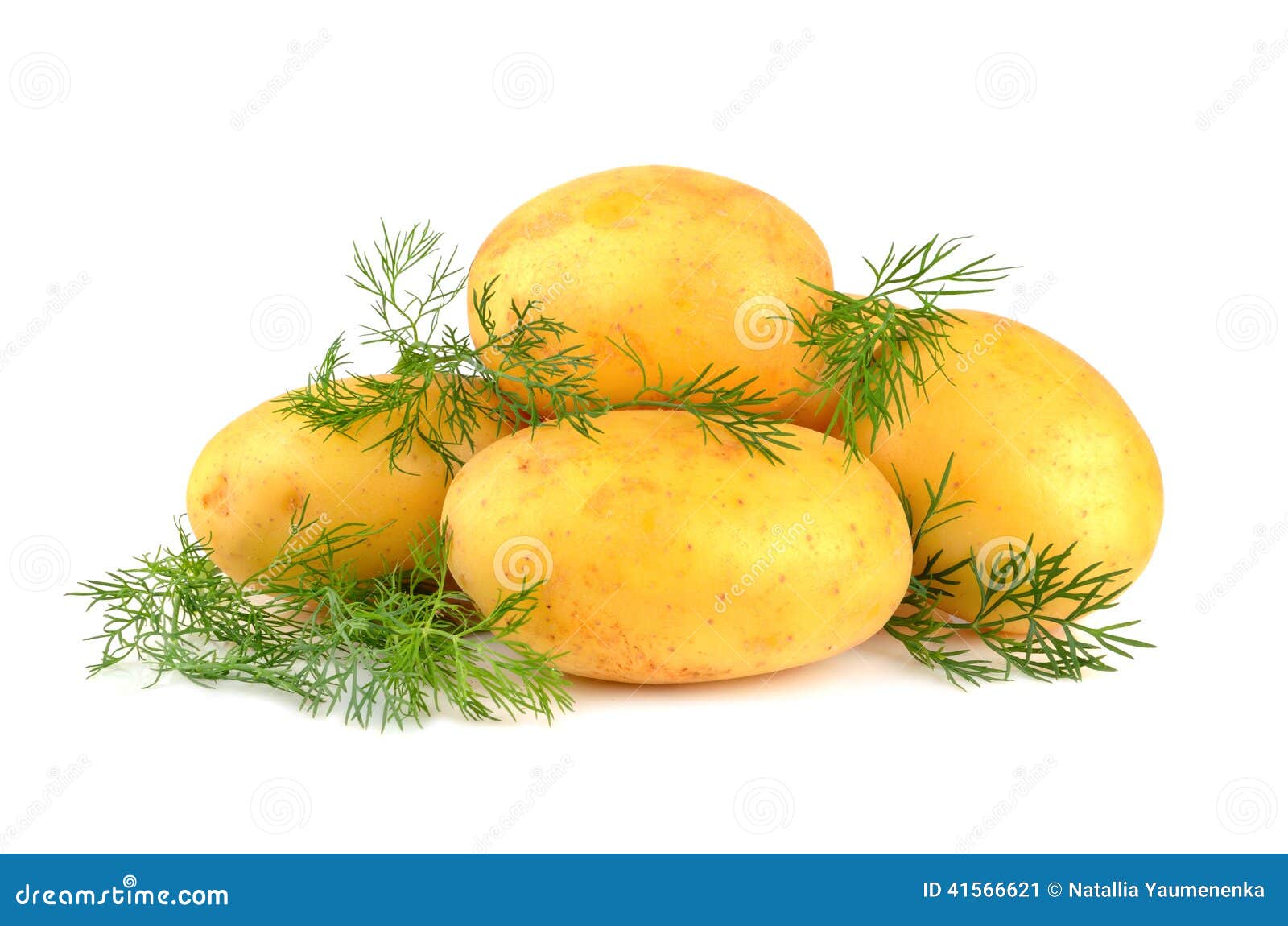 Potatoes with green dill stock image. Image of food, closeup 41566621