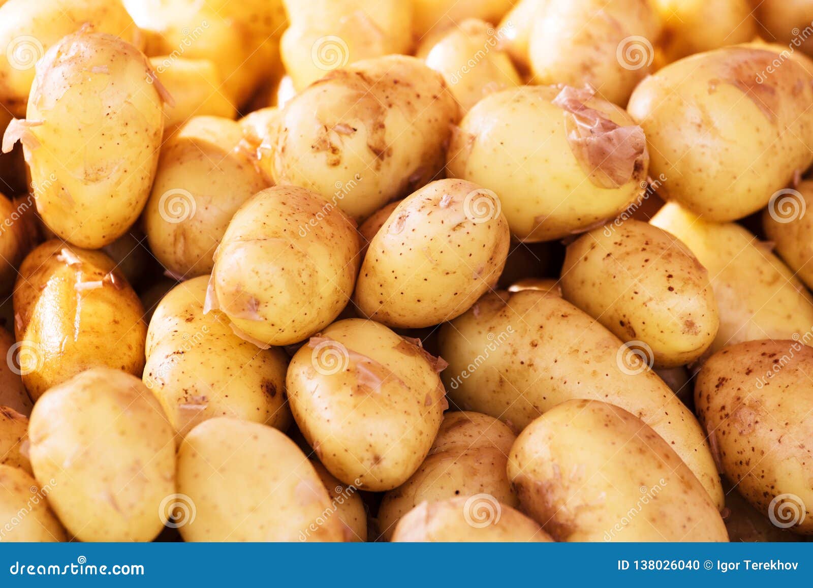 Potatoes at Market for Sale Stock Photo - Image of harvest, agriculture ...