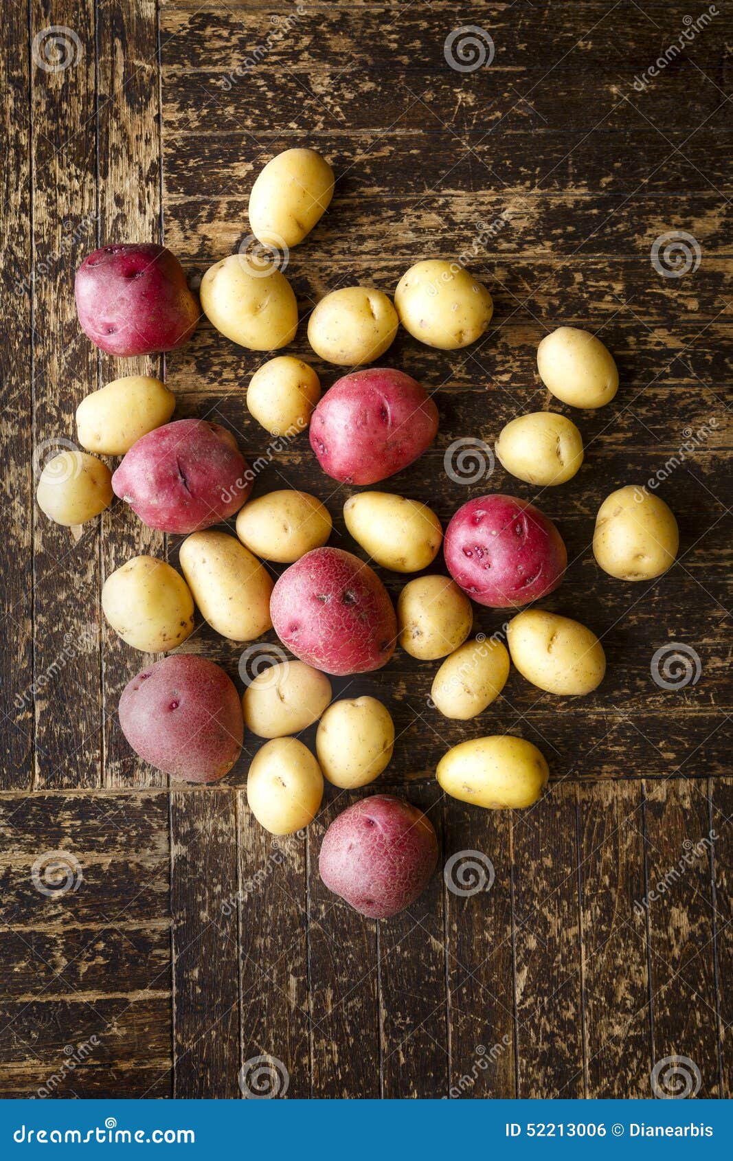 Potatoes stock photo. Image of garden, spuds, food, root - 52213006