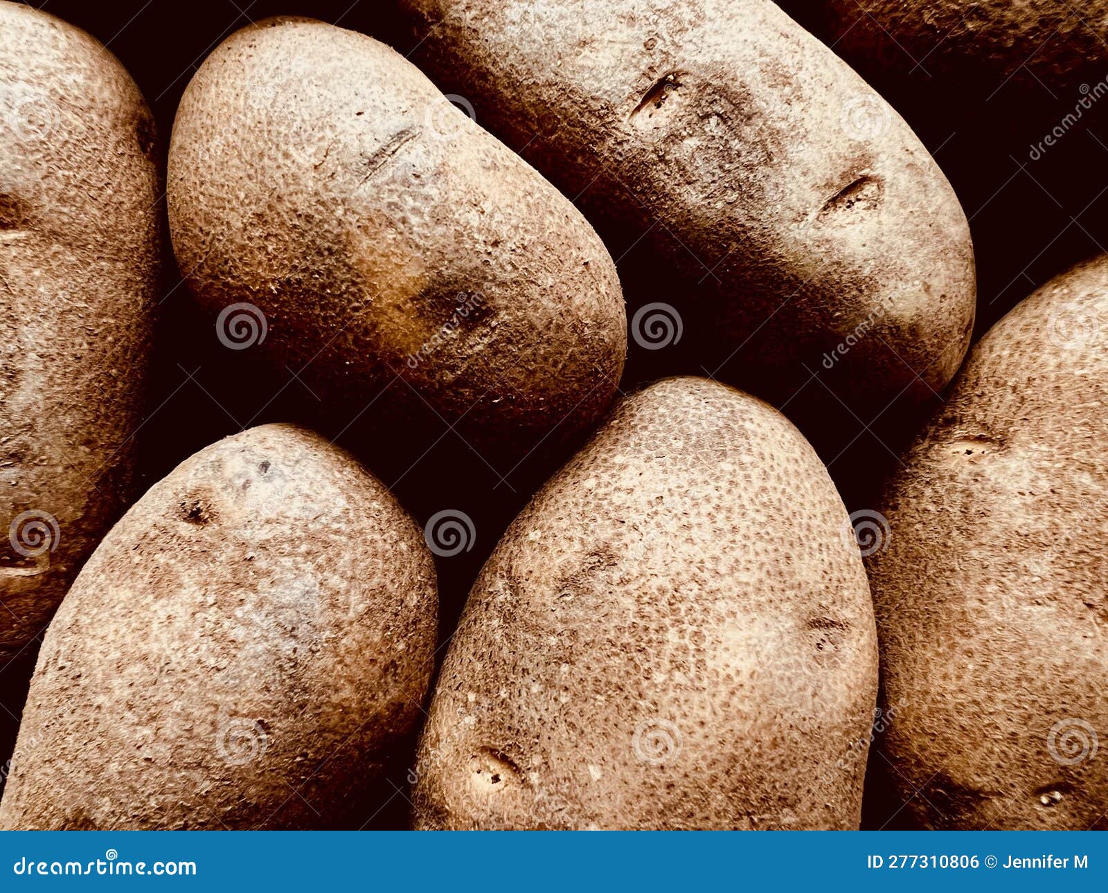 Russet potatoes stock photo. Image of organic, filling 277310806