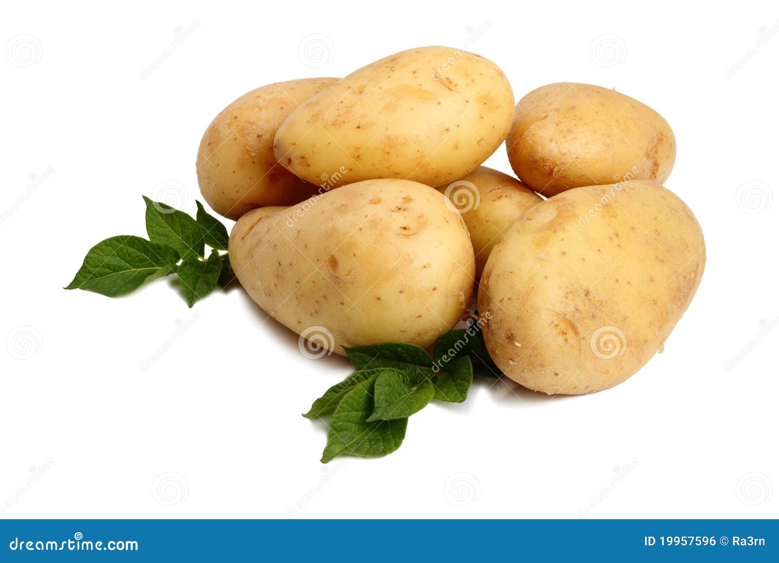 Potatoes on a white stock photo. Image of isolated, potatoes - 19957596
