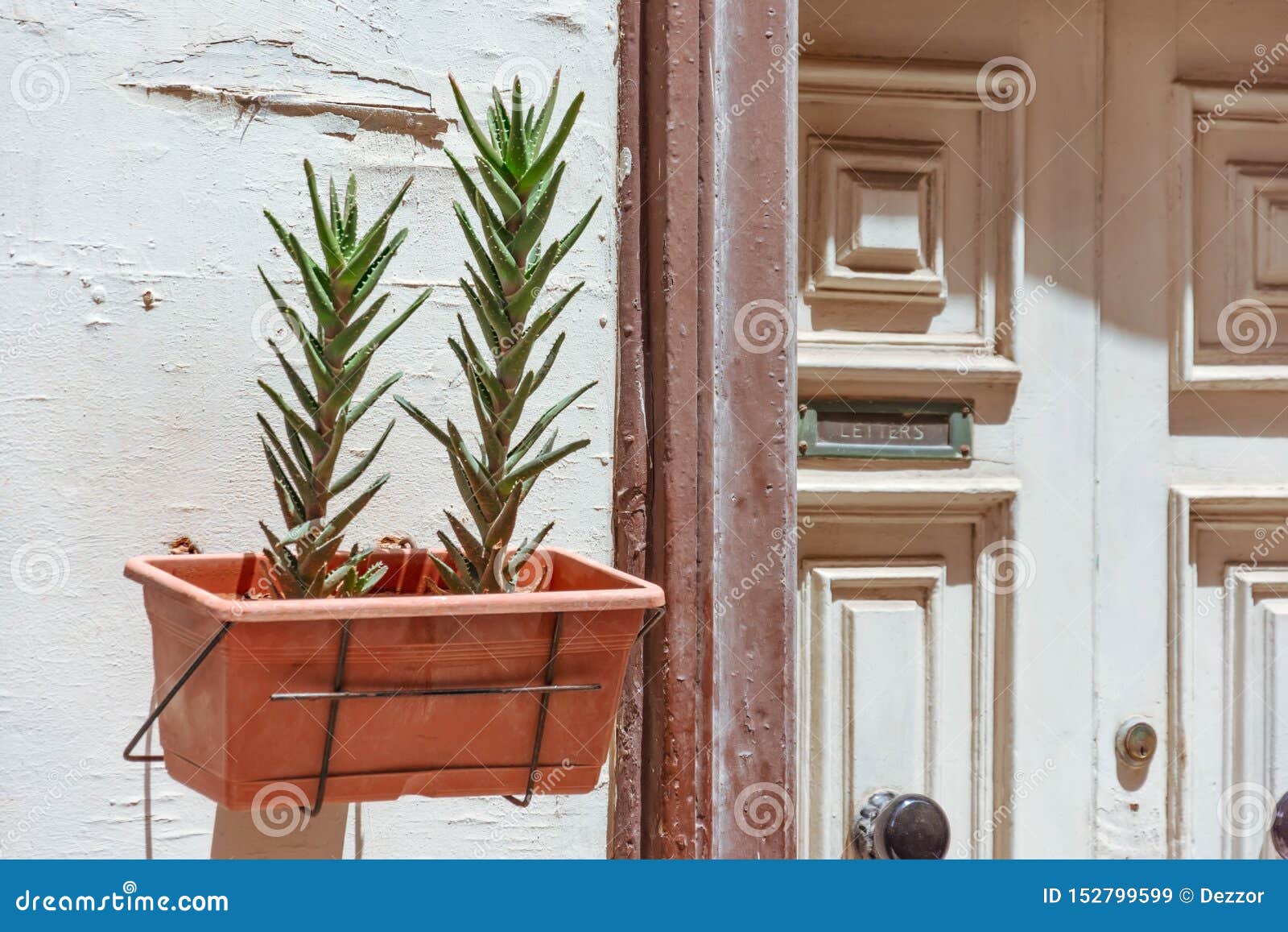 Aprobación lanzar Comerciante Pote Con Las Plantas De Los Succulents En La Puerta De La Entrada a La Casa  Con Una Ranura Para Recibir Letras Y El Correo En La Imagen de archivo -  Imagen