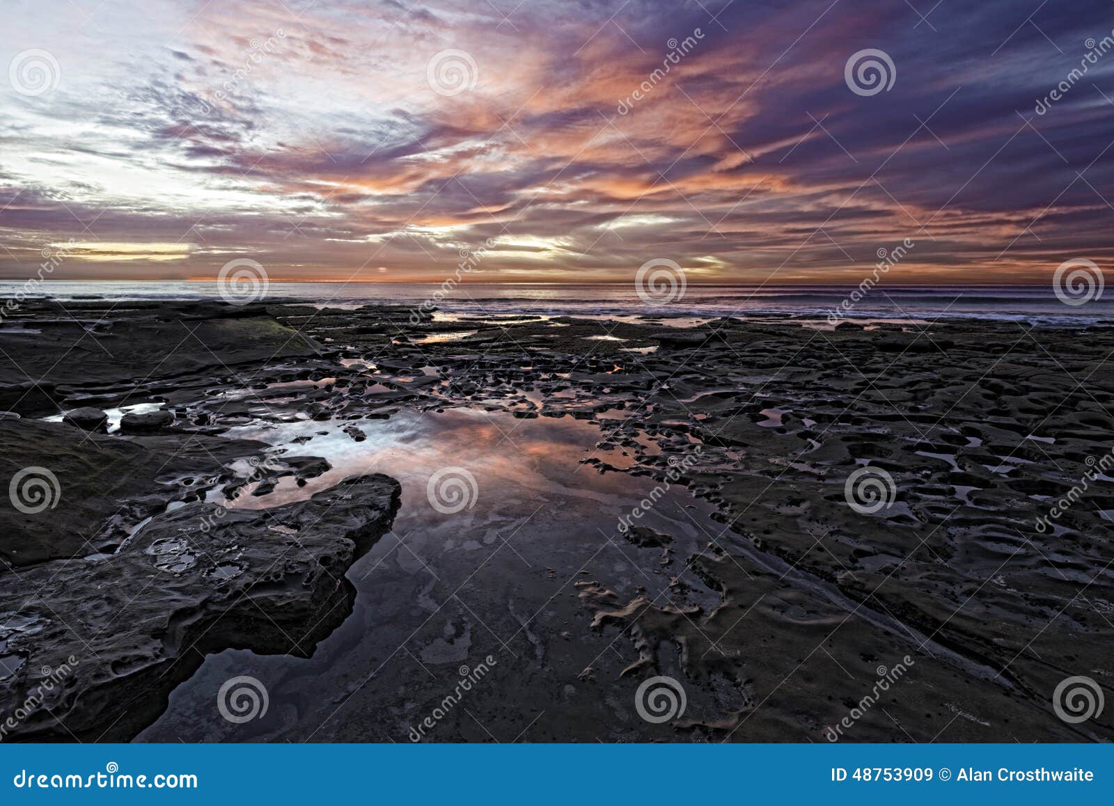 tidal pools la jolla san diego tidal pools la jolla san diego