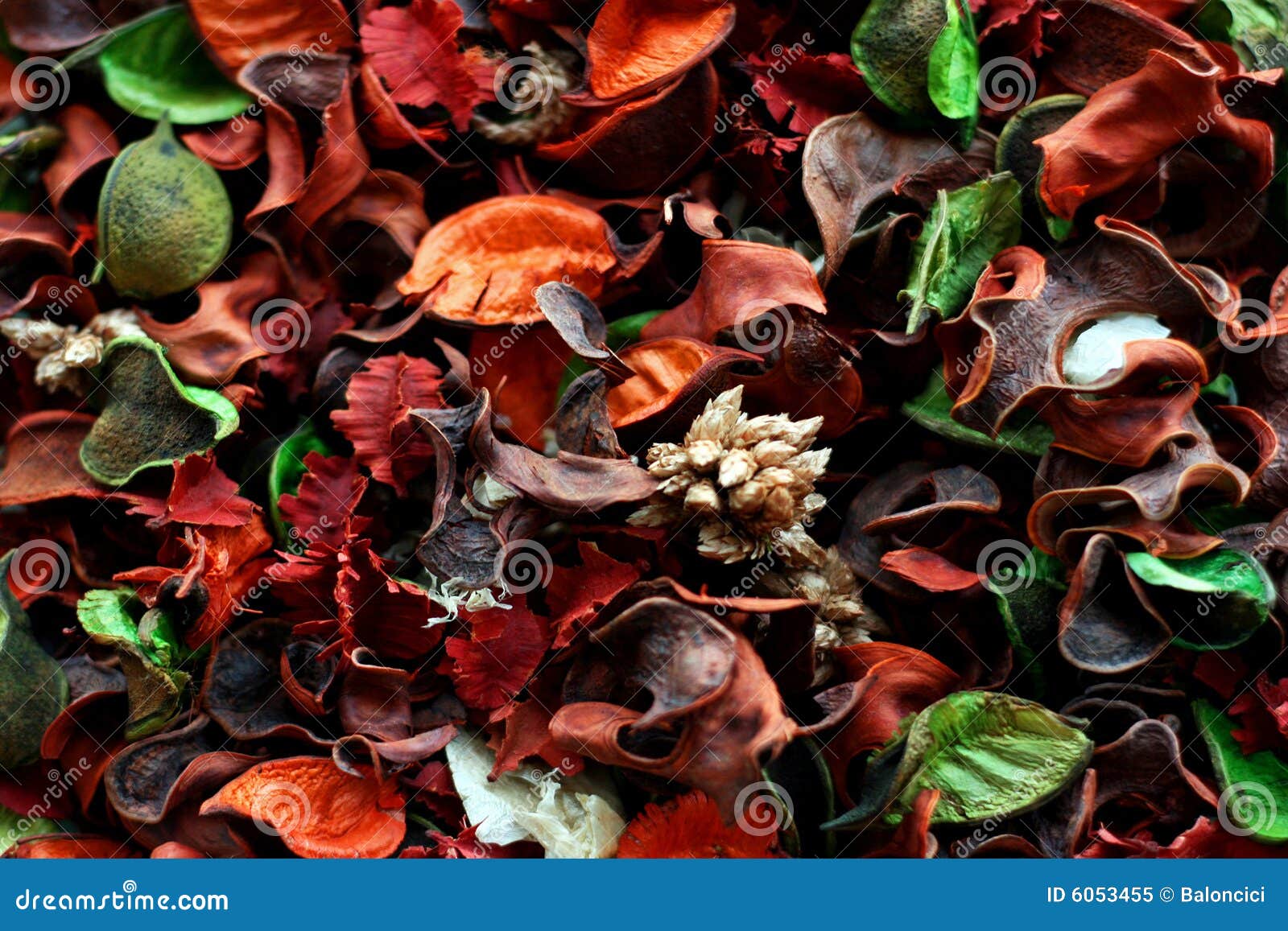 Potpourri stock image. Image of decoration, aroma, plants 6053455