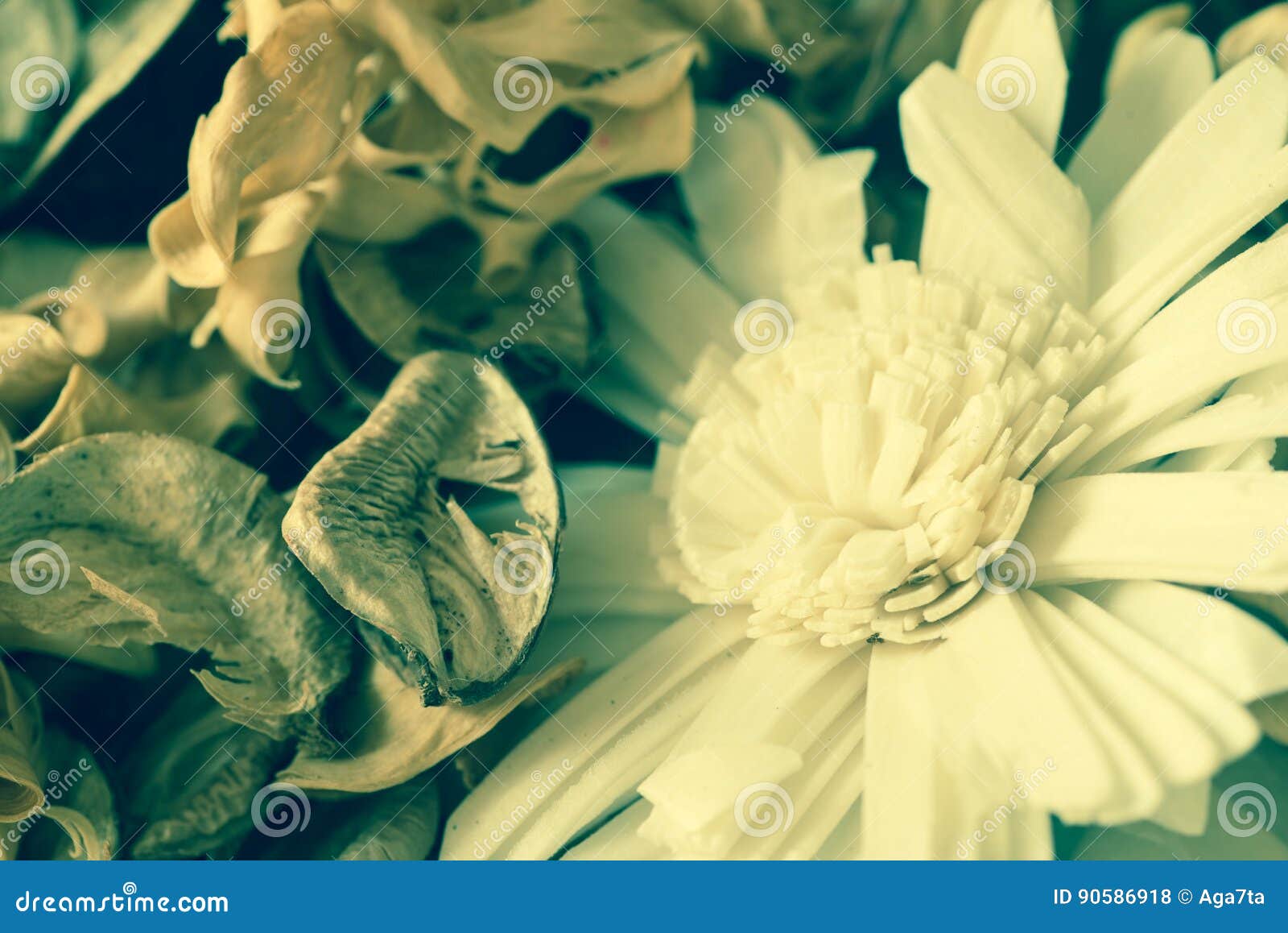Potpourri Dried Plants and Flowers Stock Photo Image of fragrance