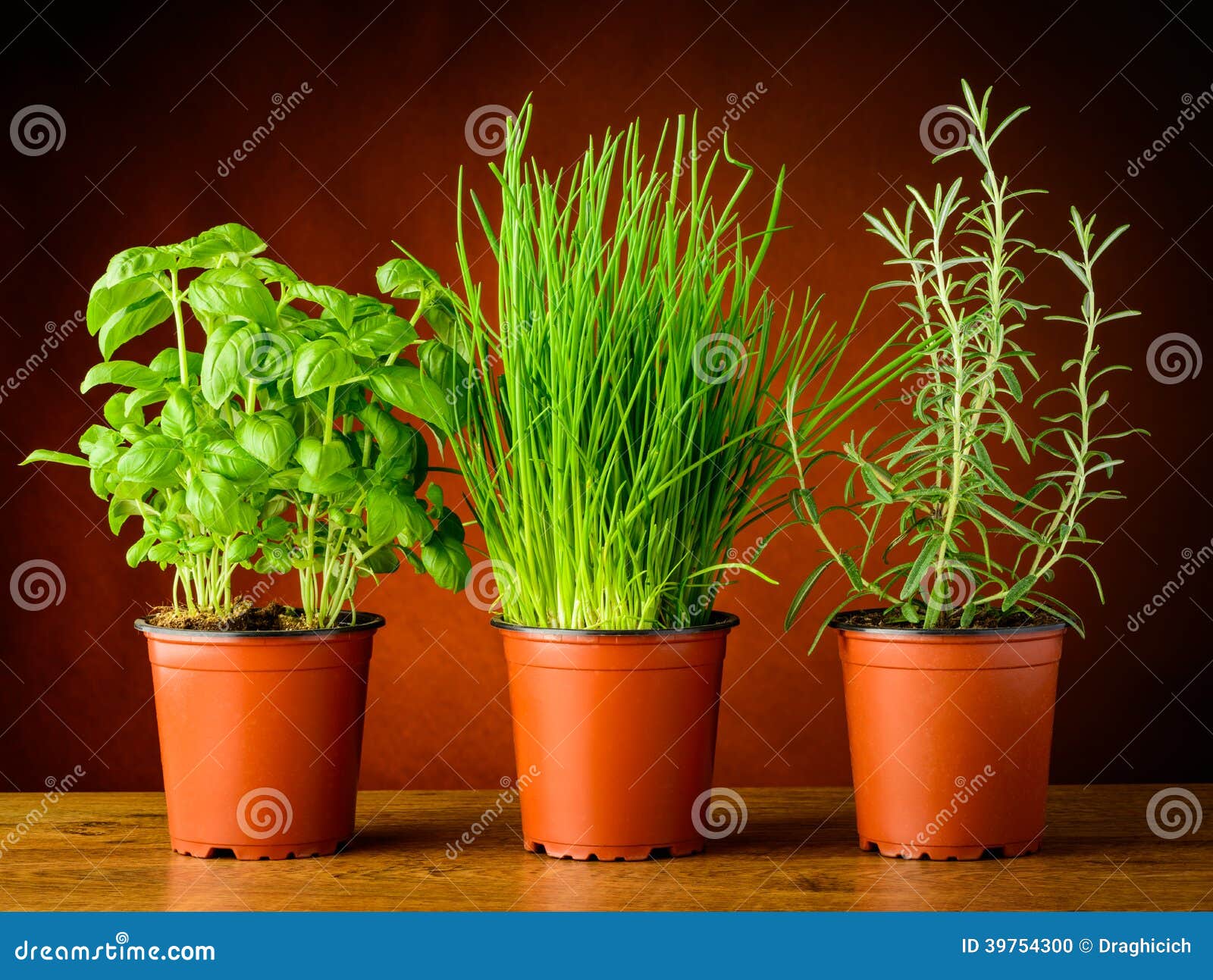 Pots with fresh herbs stock photo. Image of pots, basil 39754300