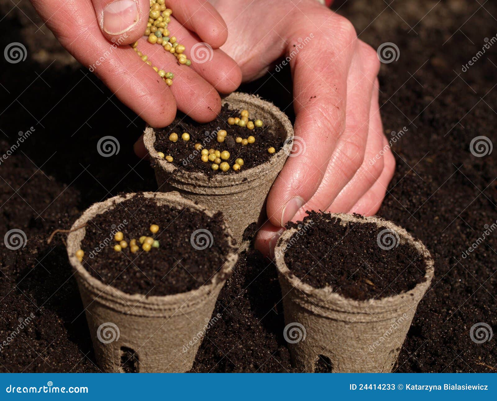 Pots with ground, closeup stock image. Image of flowerpot 24414233