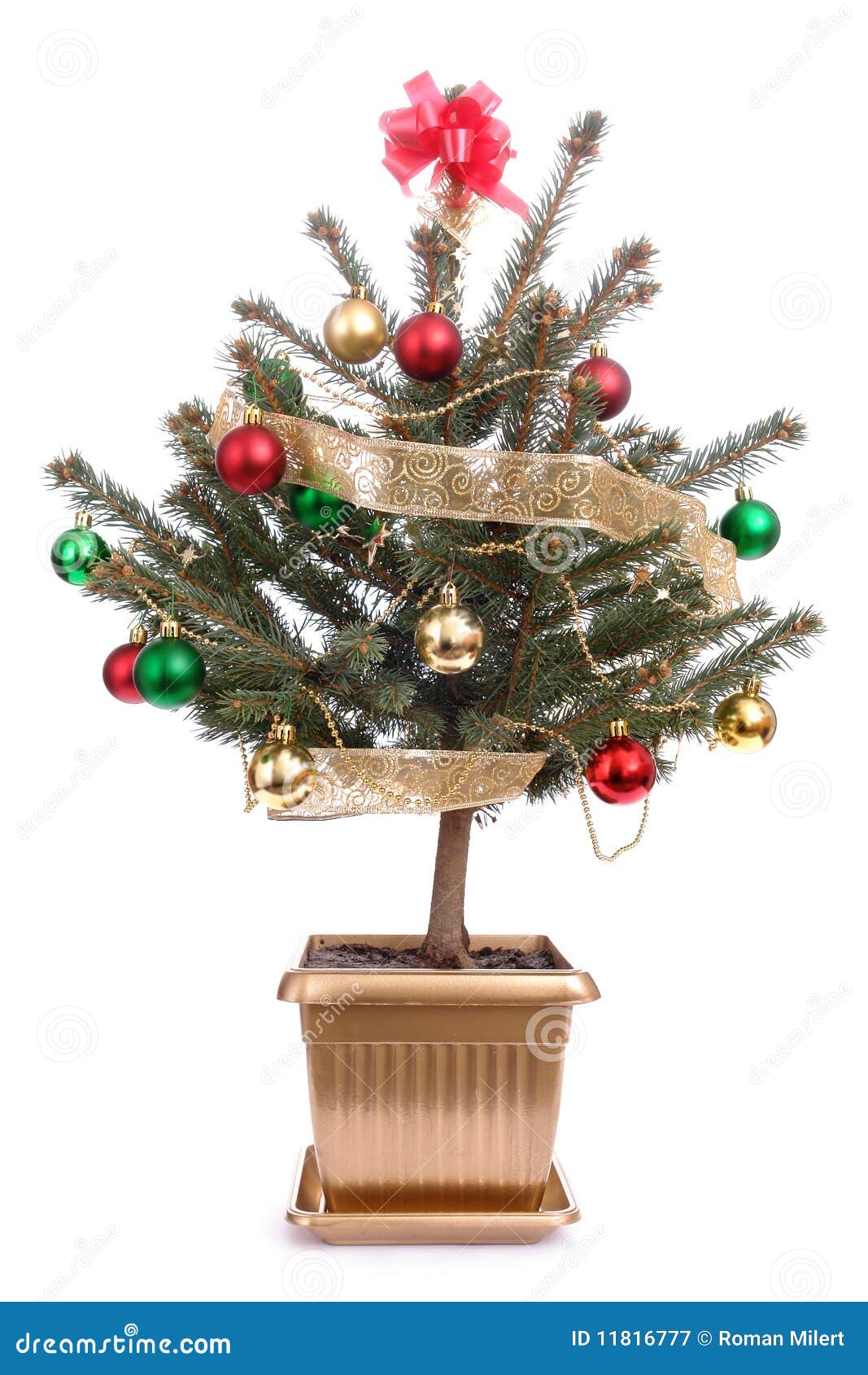 Potted christmas tree stock image. Image of background 11816777