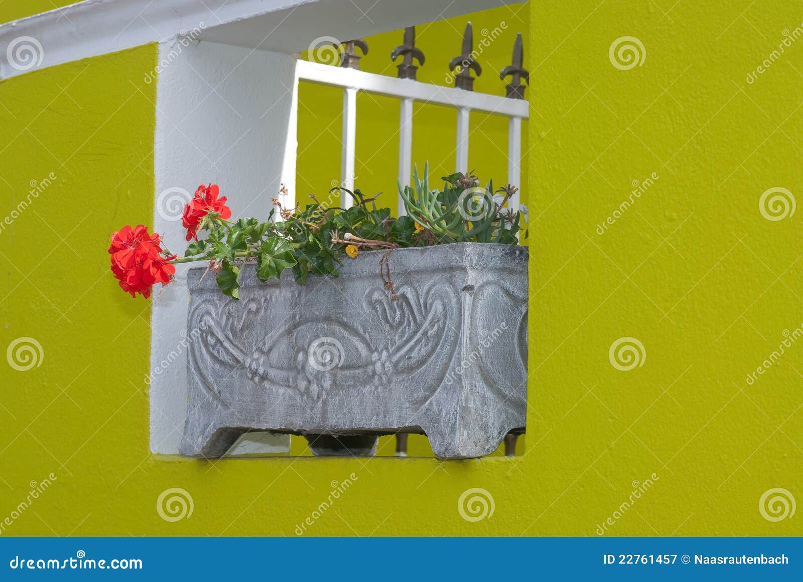 Potted flower stock image. Image of structures, structure 22761457