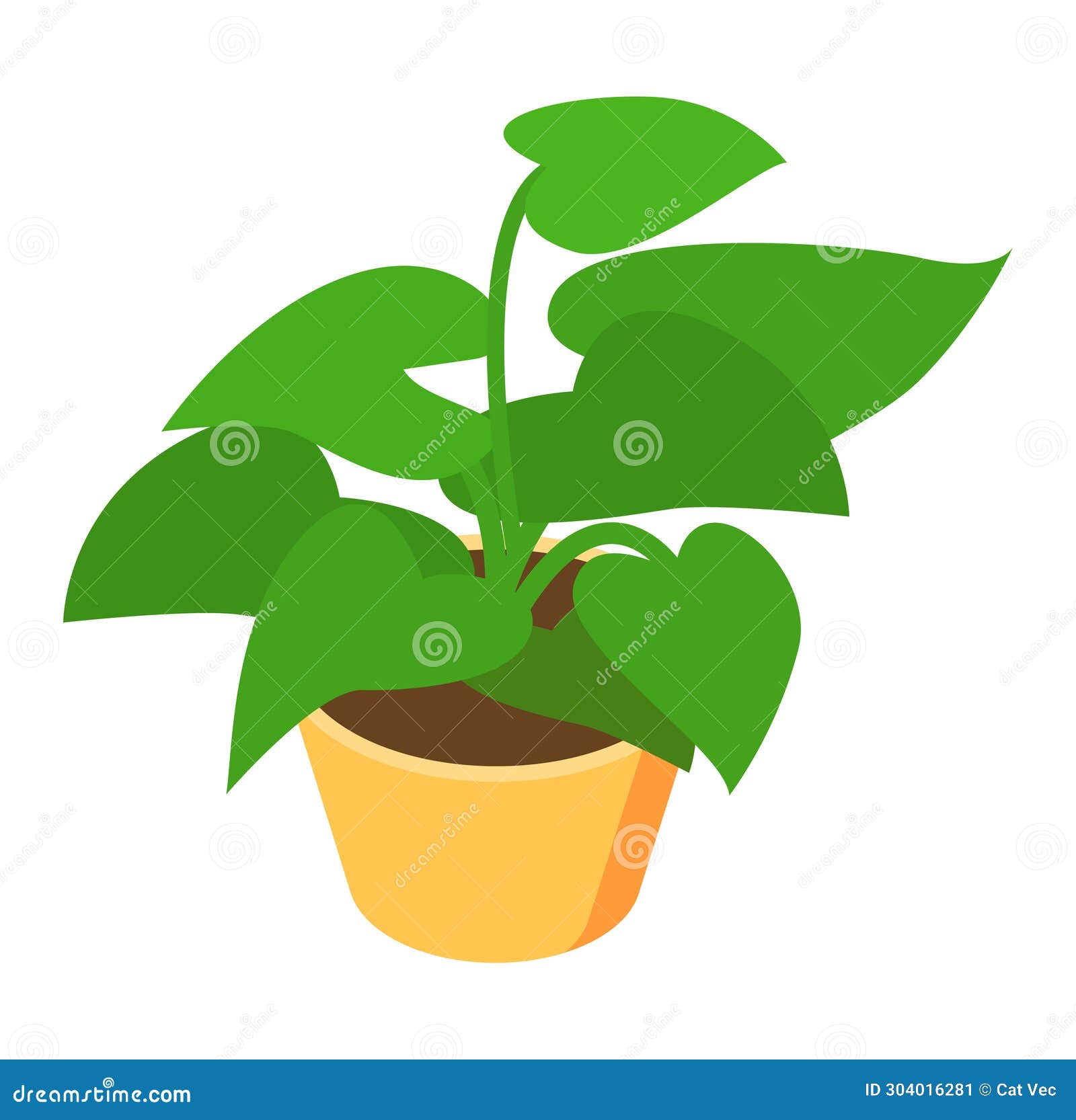 potted green houseplant in a terracotta pot,  on white. indoor plant and home decoration  