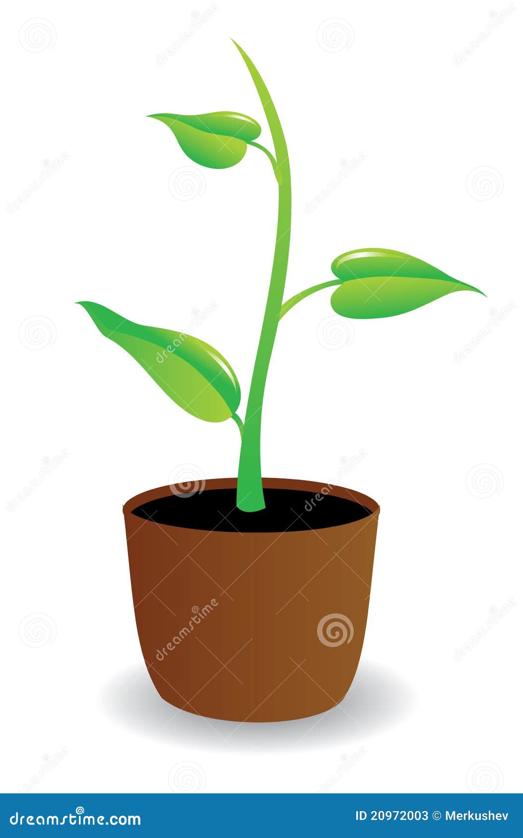 A Potted Plant Beginning To Grow. Stock Illustration Illustration of