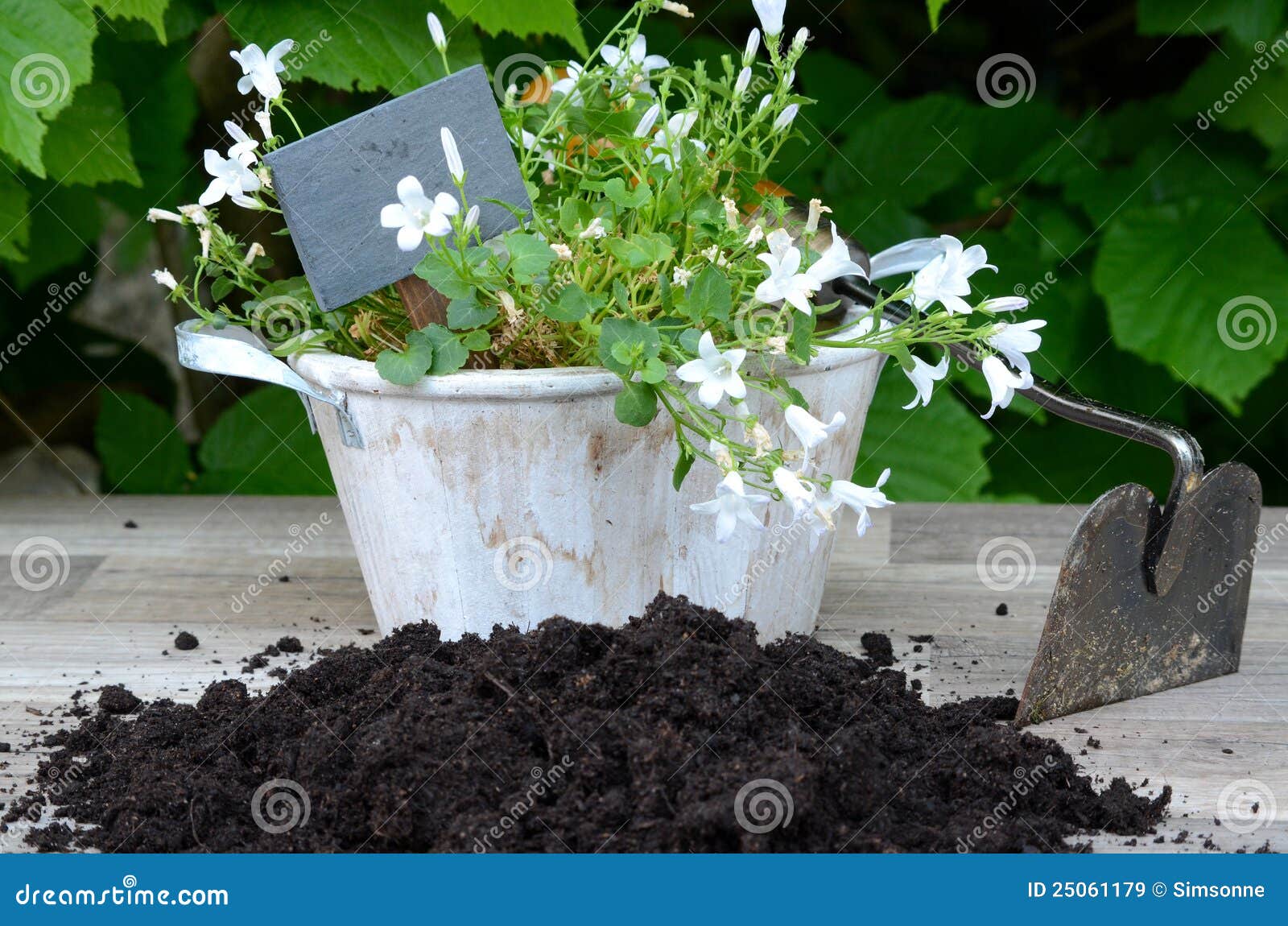 Potted plant and soil stock image. Image of horticulture 25061179