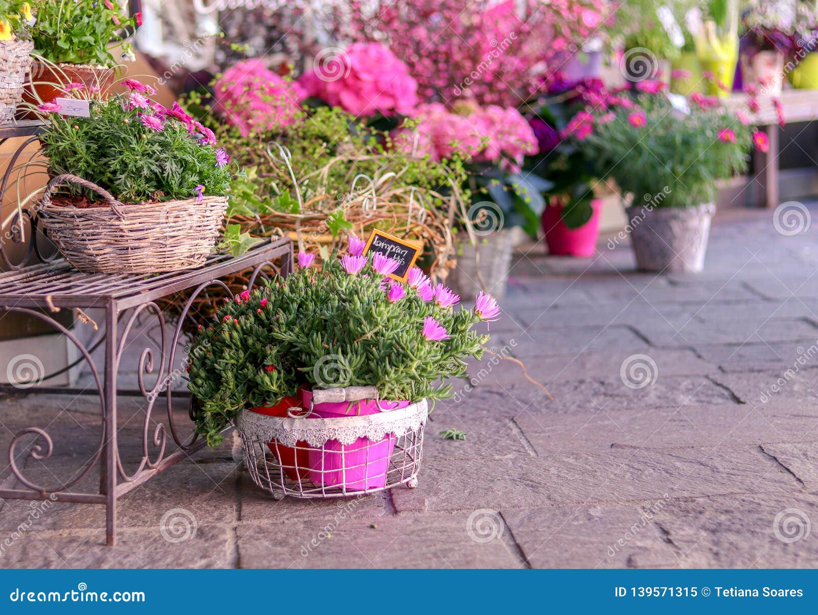 Potten Met Bloeiende Roze Bloemen Voor Verkoop Buiten ...