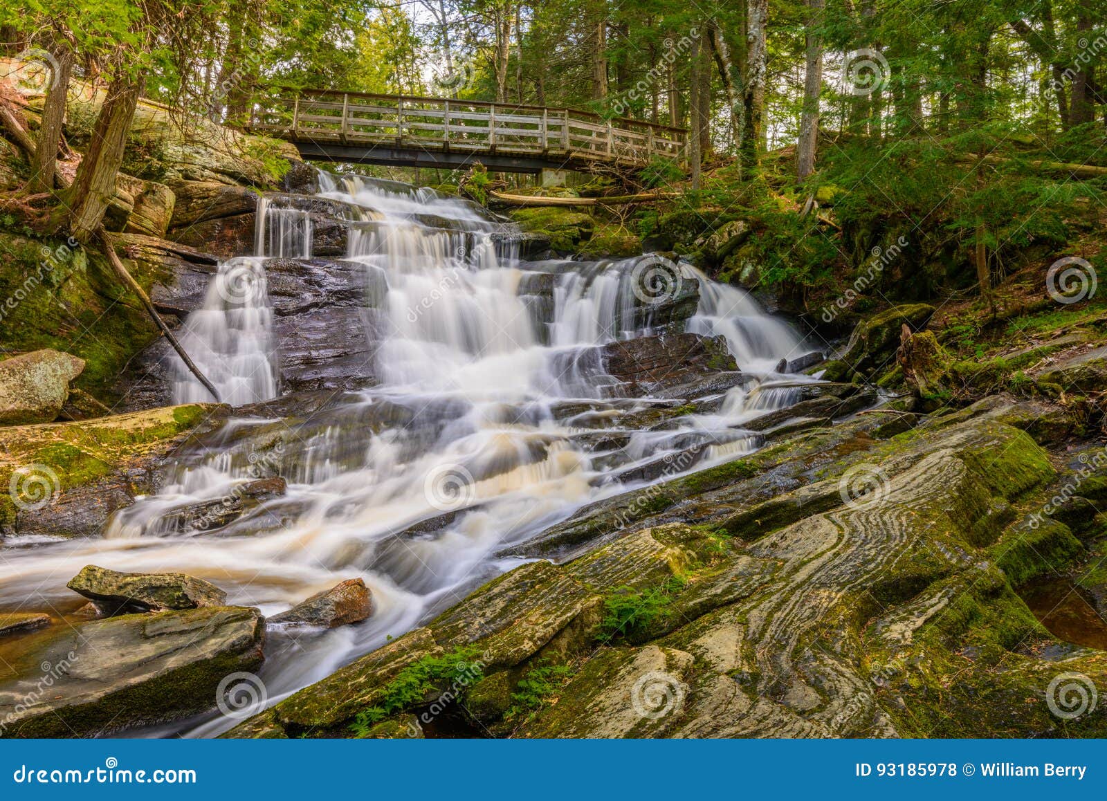 potts falls muskoka canada