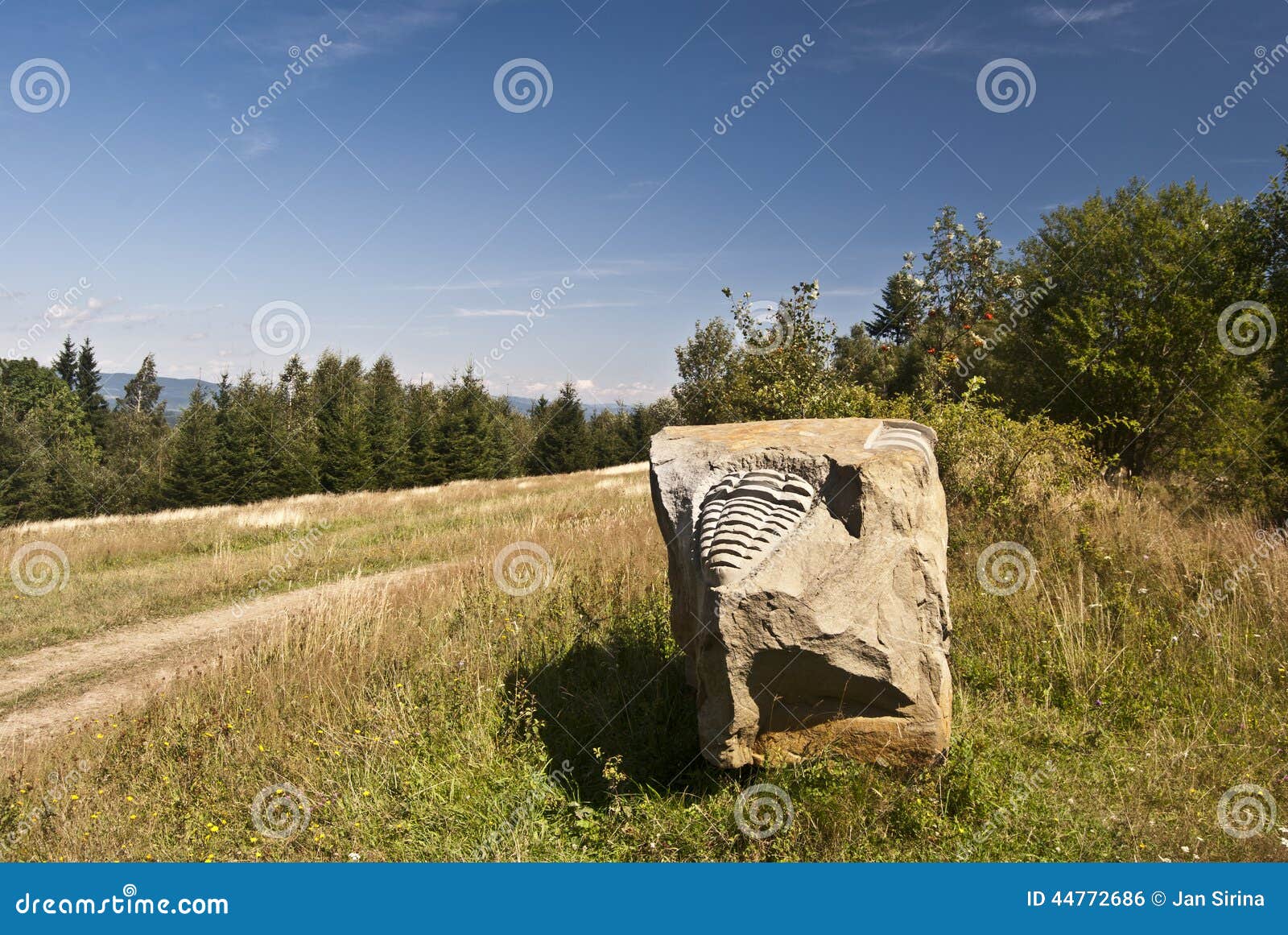 Pouca escultura de pedra do trilobite em montanhas de Javorniky perto de Cadca