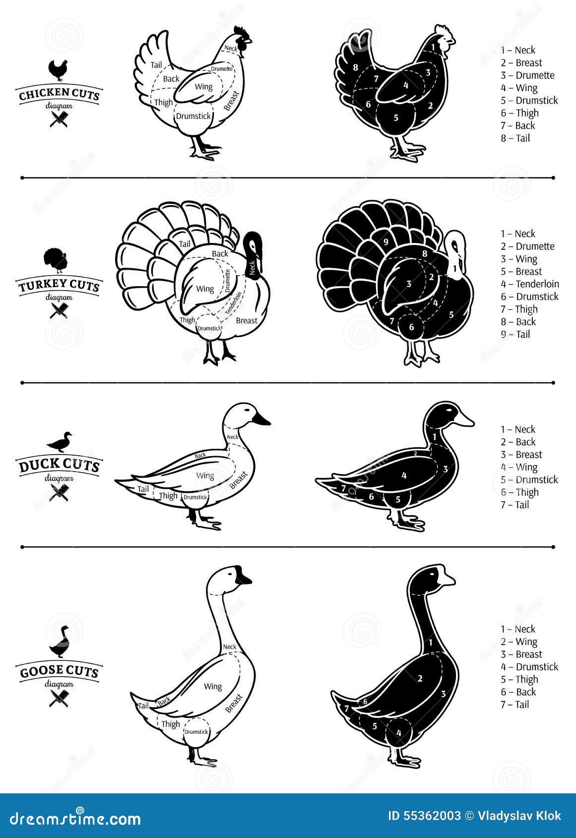 poultry cuts diagrams