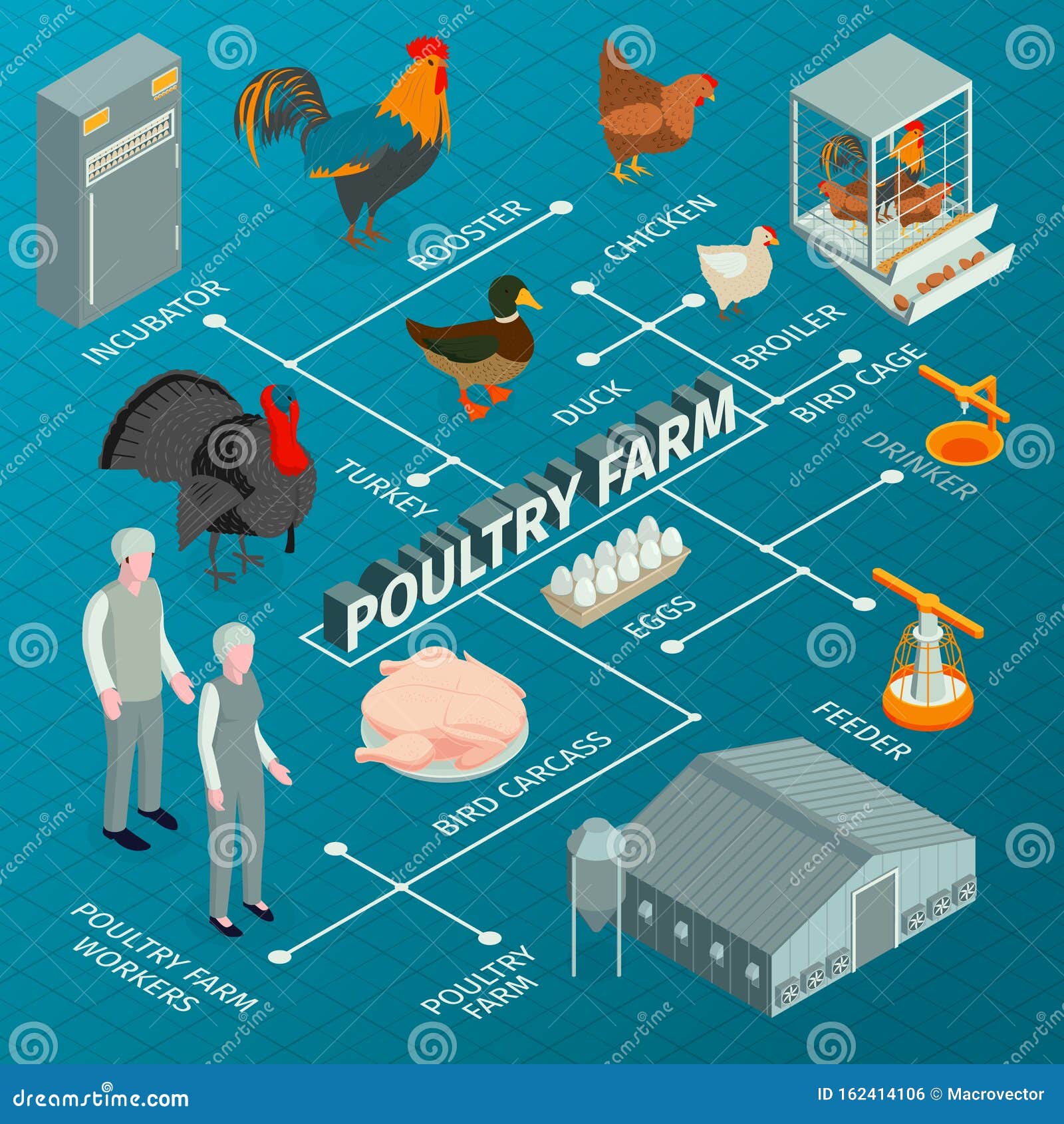 poultry farm isometric flowchart