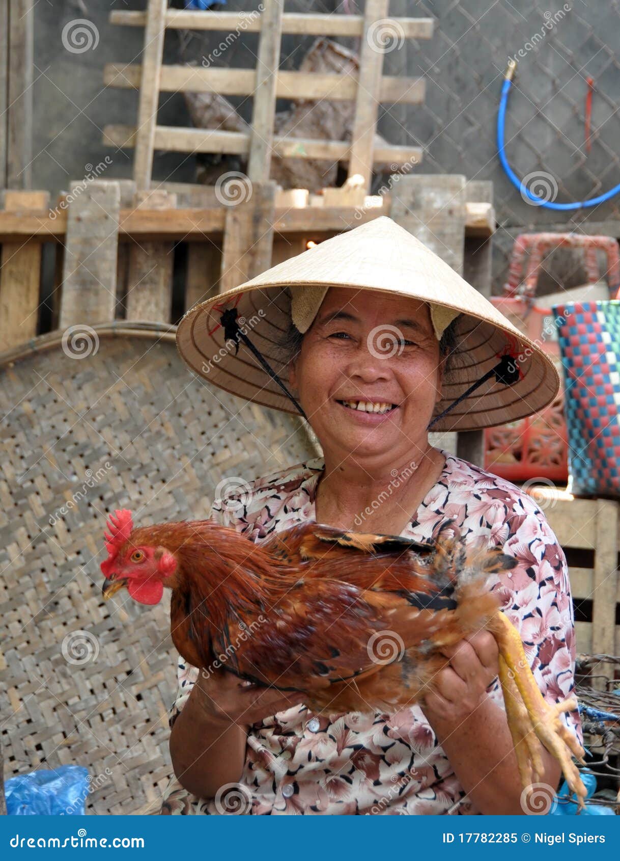 Poultry Vendor, Hoi an, Vietnam Editorial Image Image of natural