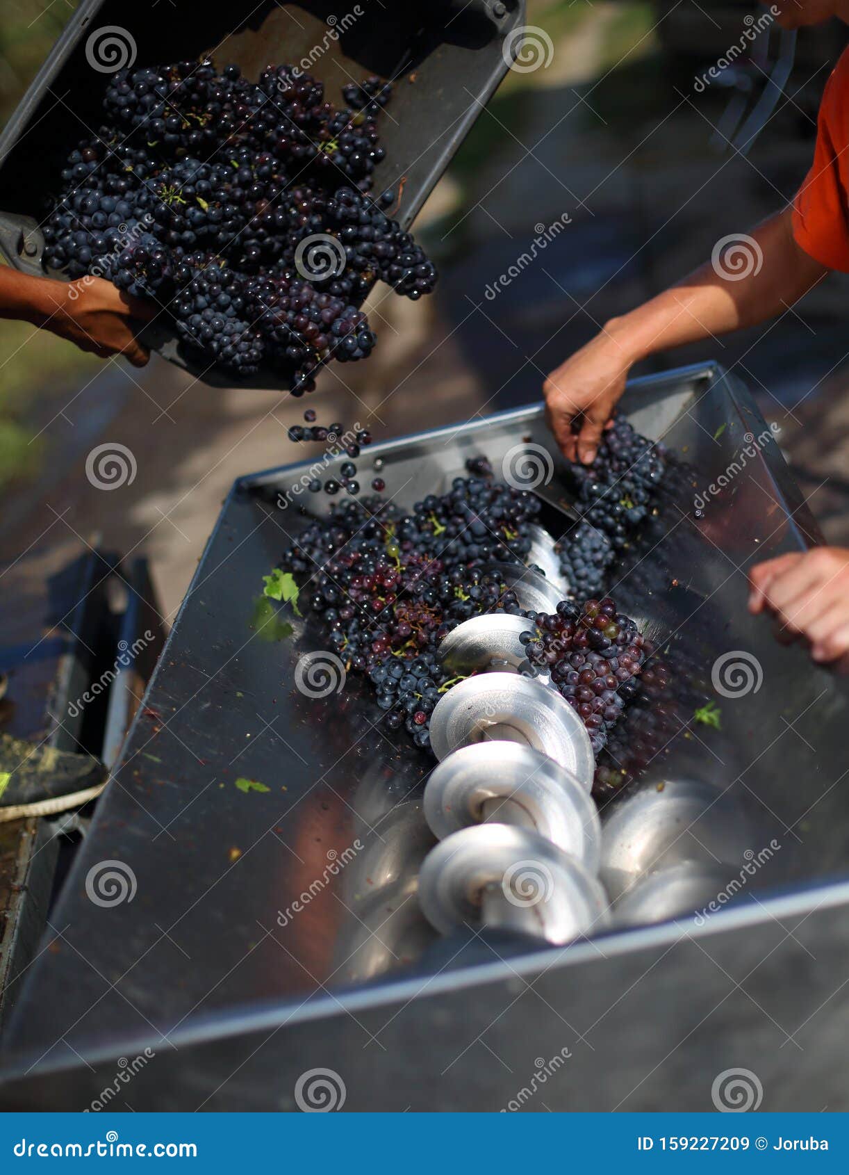 grape squezzing machine