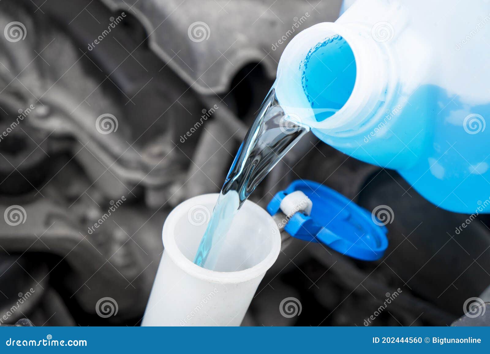 Pouring Liquid from Plastic Canister into Car Washer Fluid Reservoir. Close  Up Filling Windscreen Water Tank with Washing Liquid Stock Photo - Image of  closeup, tank: 202444560