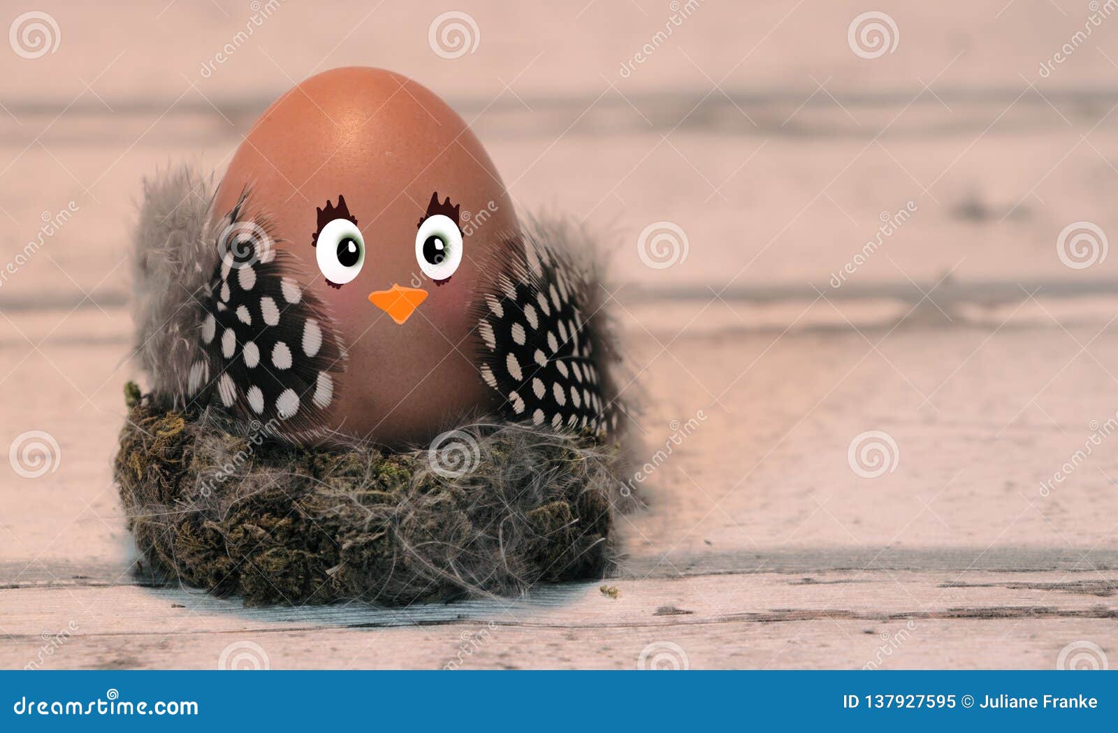 Poussin Drole De Paques Image Stock Image Du Paques Poussin Drole De Paques Image Stock Image Du Paques