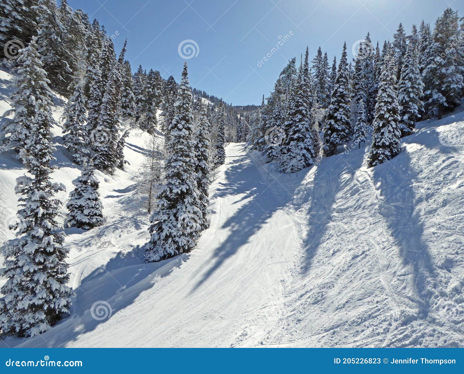 Powder Mountain Ski Resort, Utah Stock Image Image of paradise
