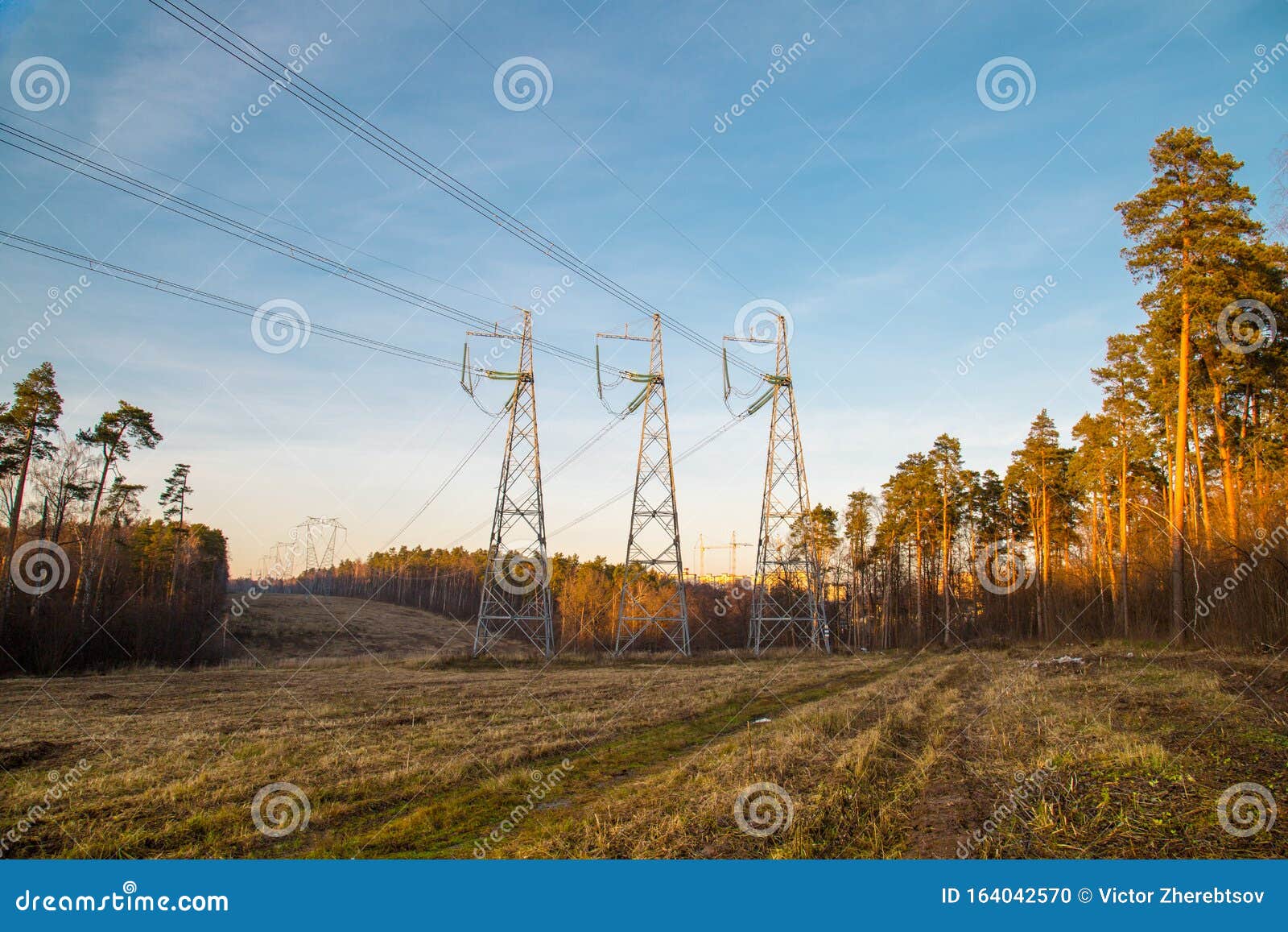 power line in late autumn on the background of forest clearing in the rays of the setting sun. landscape, nature, technology